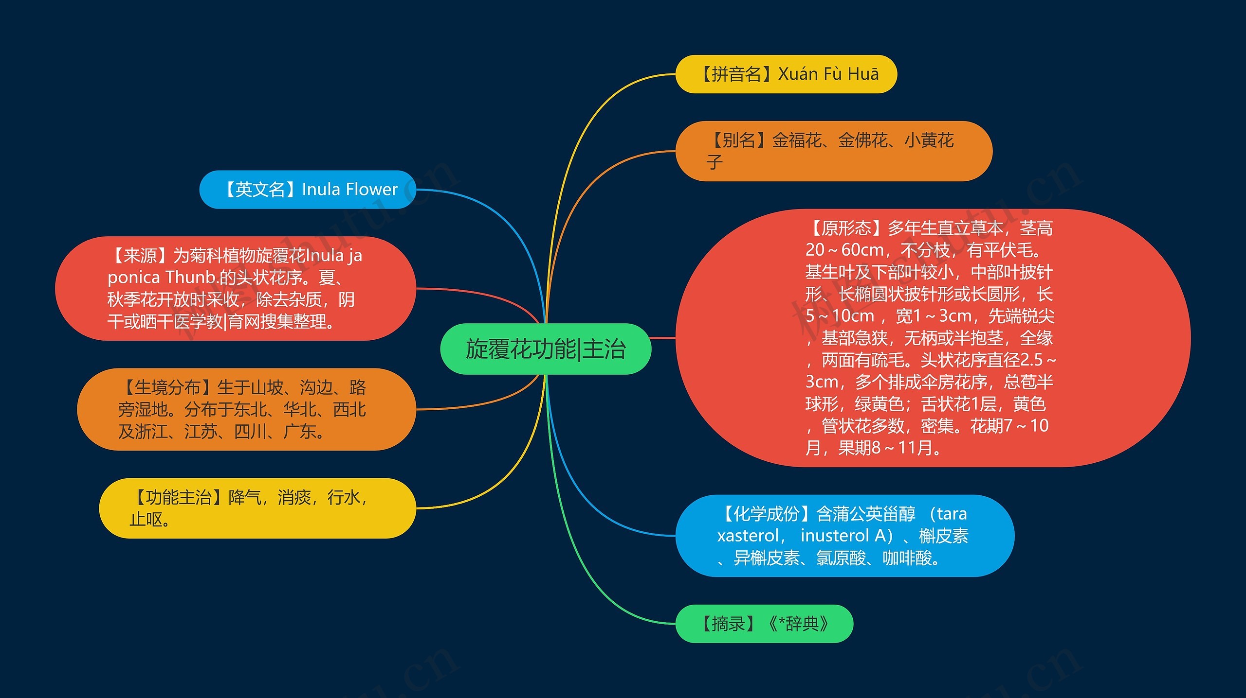 旋覆花功能|主治思维导图