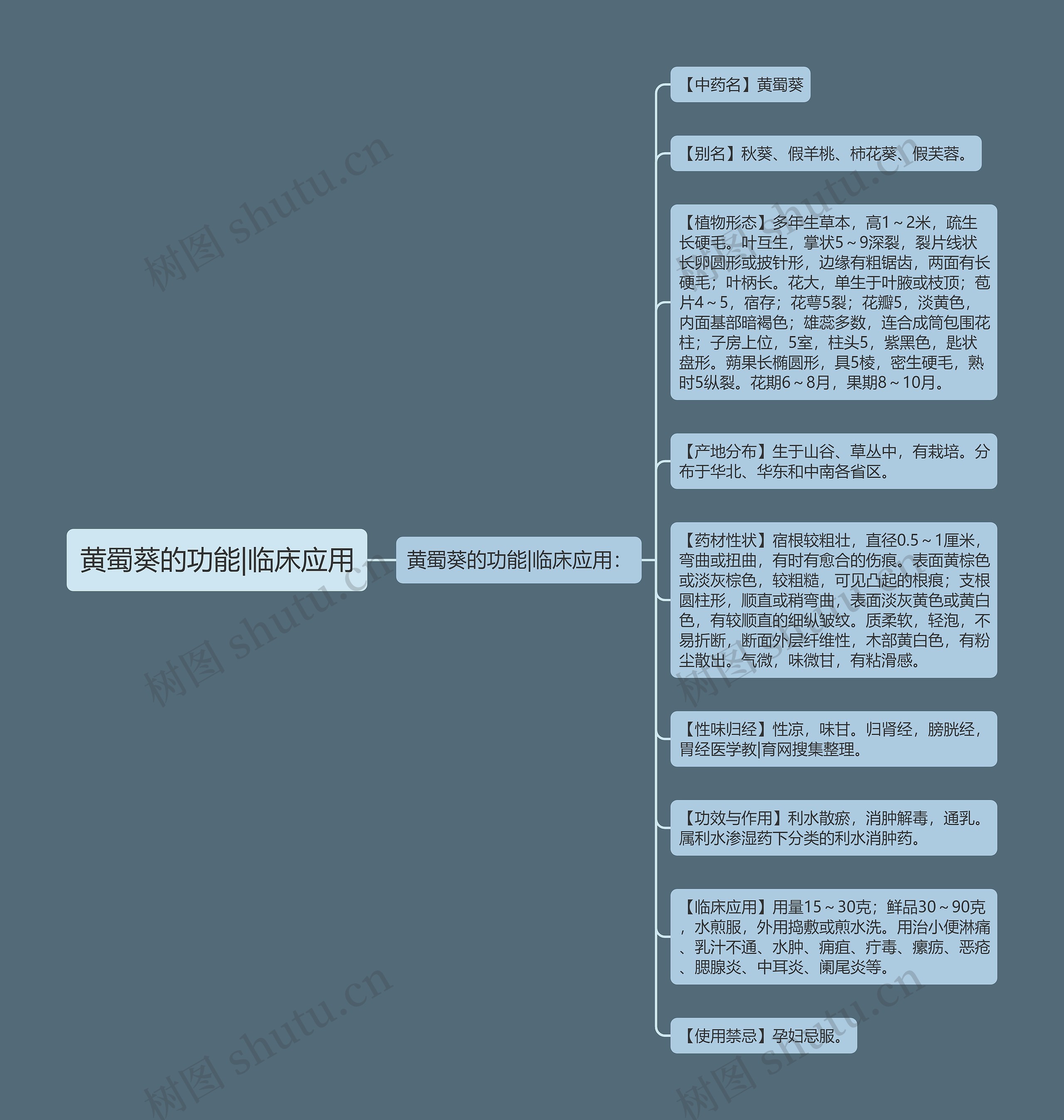 黄蜀葵的功能|临床应用 黄蜀葵的功能|临床应用