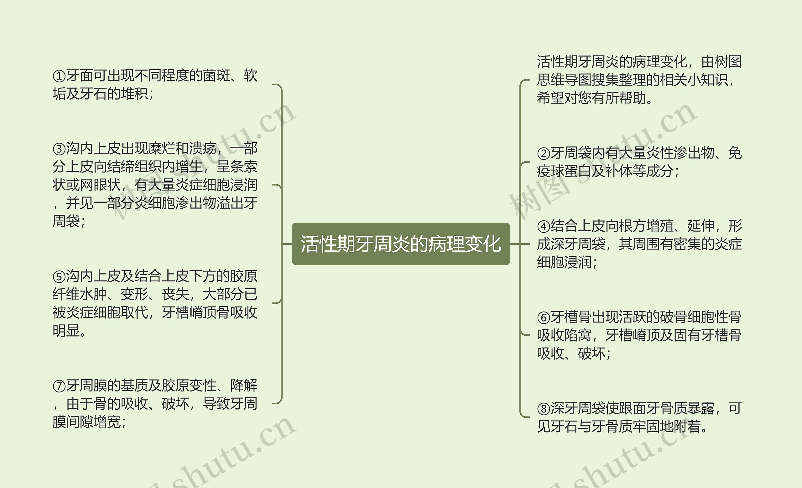 活性期牙周炎的病理变化