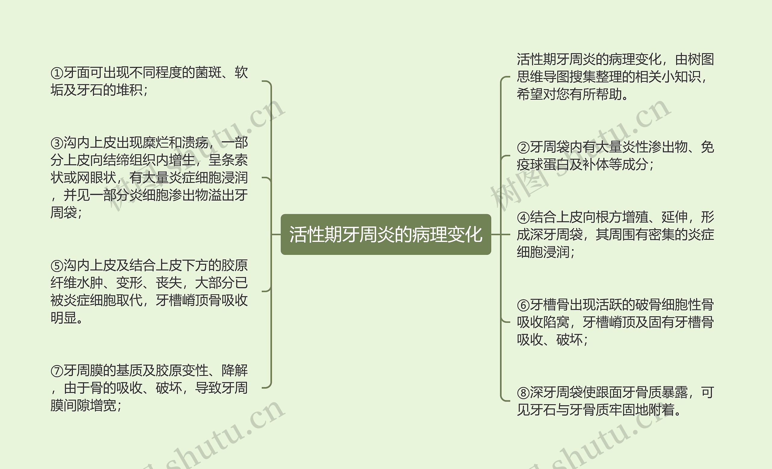 活性期牙周炎的病理变化思维导图