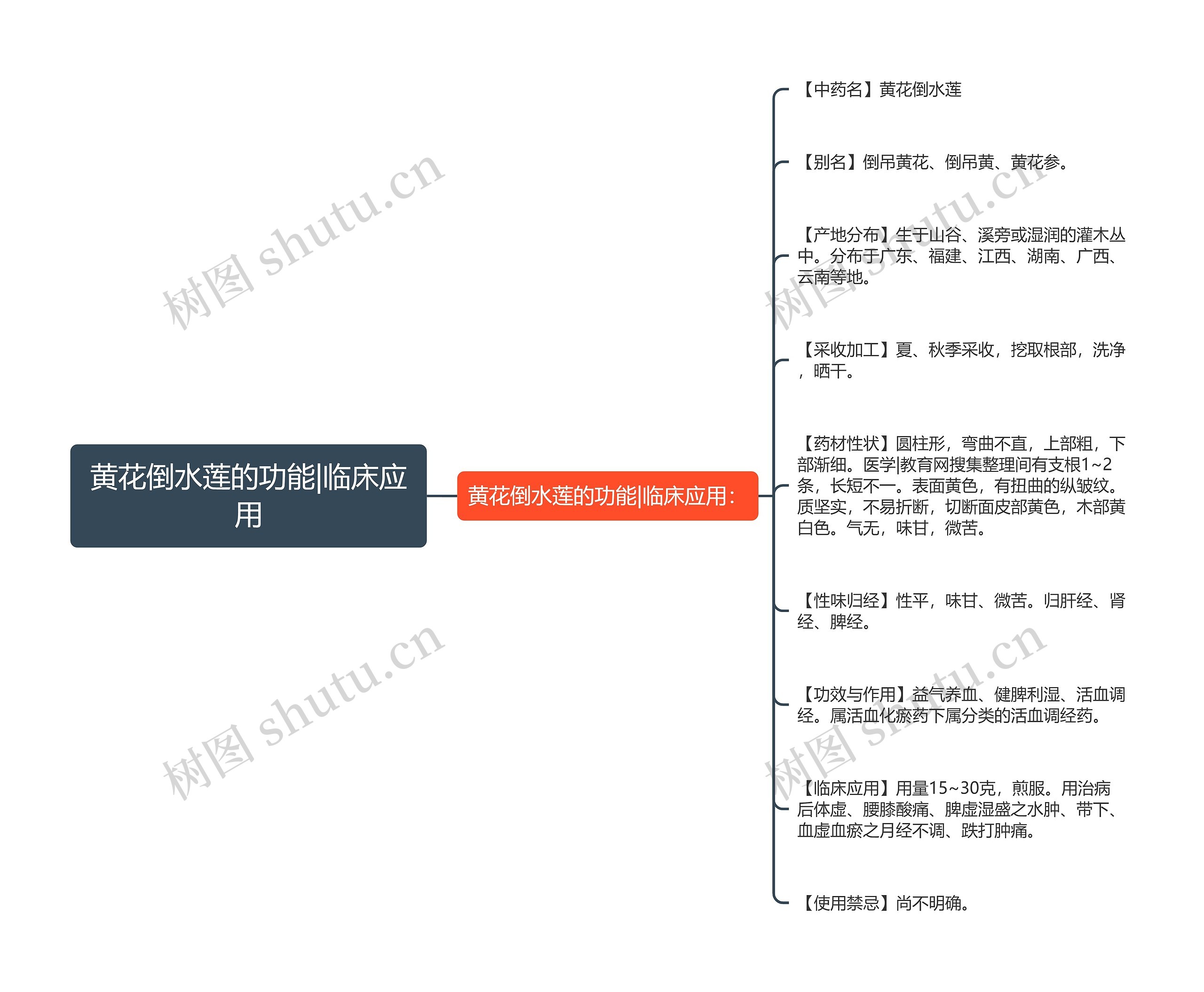 黄花倒水莲的功能|临床应用思维导图