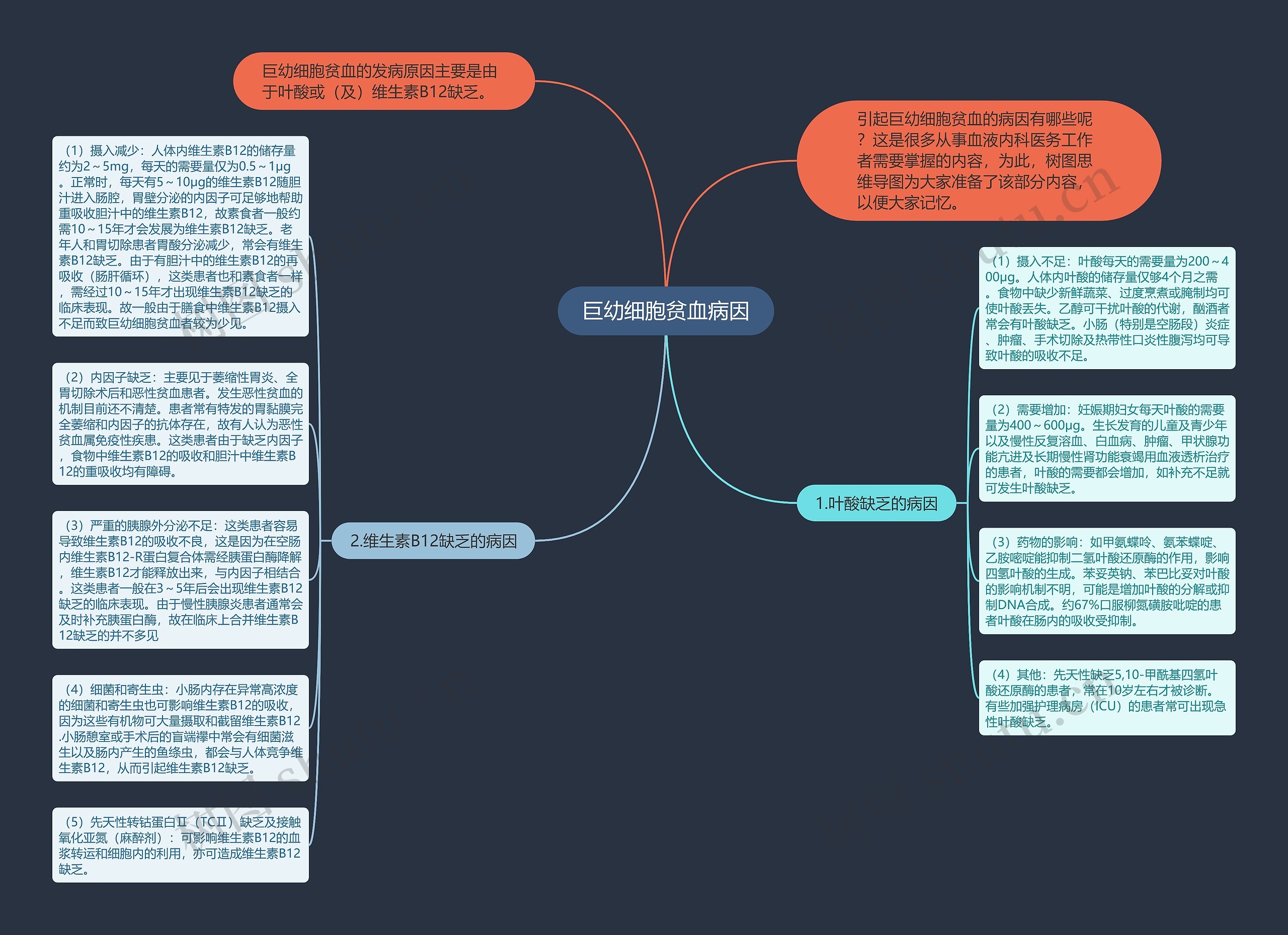 巨幼细胞贫血病因思维导图