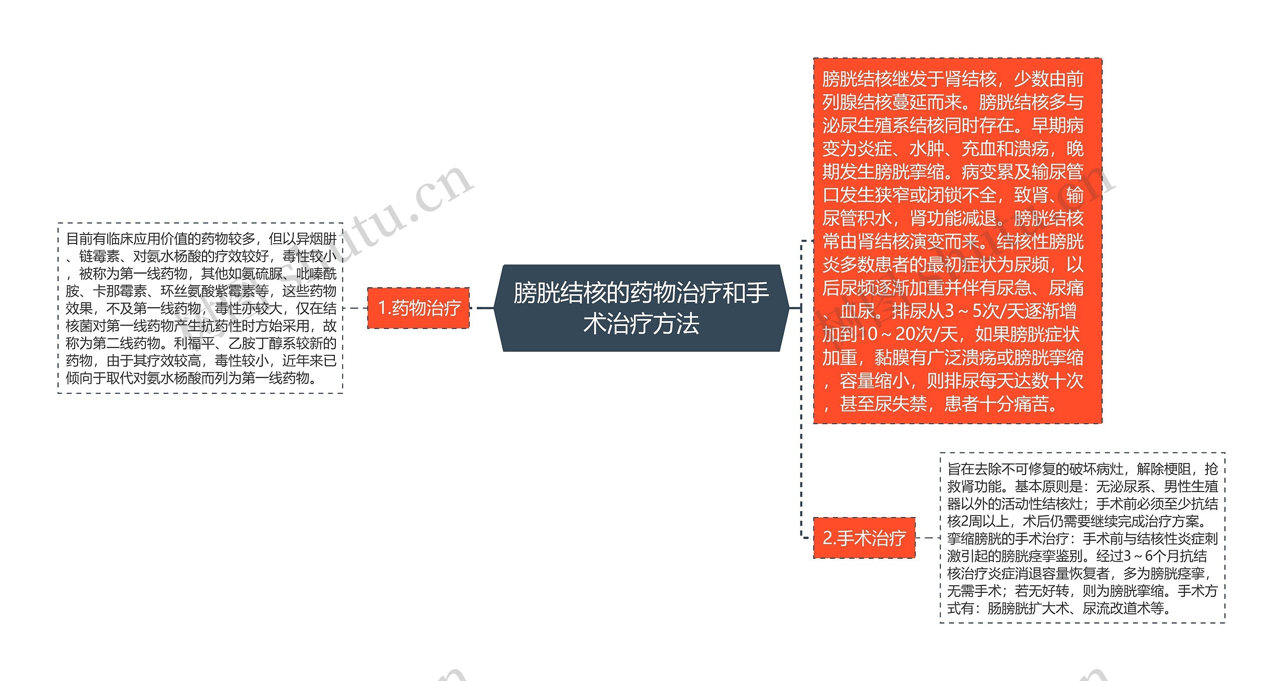 膀胱结核的药物治疗和手术治疗方法