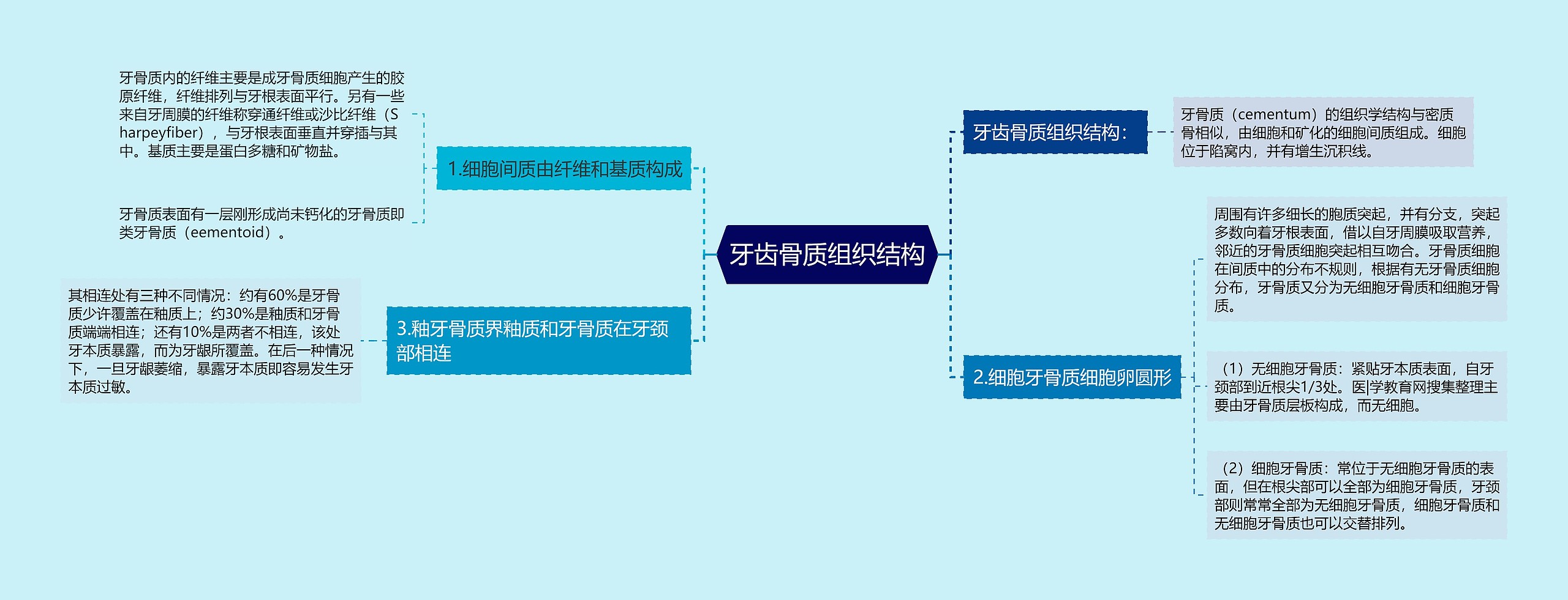 牙齿骨质组织结构 牙齿骨质组织结构