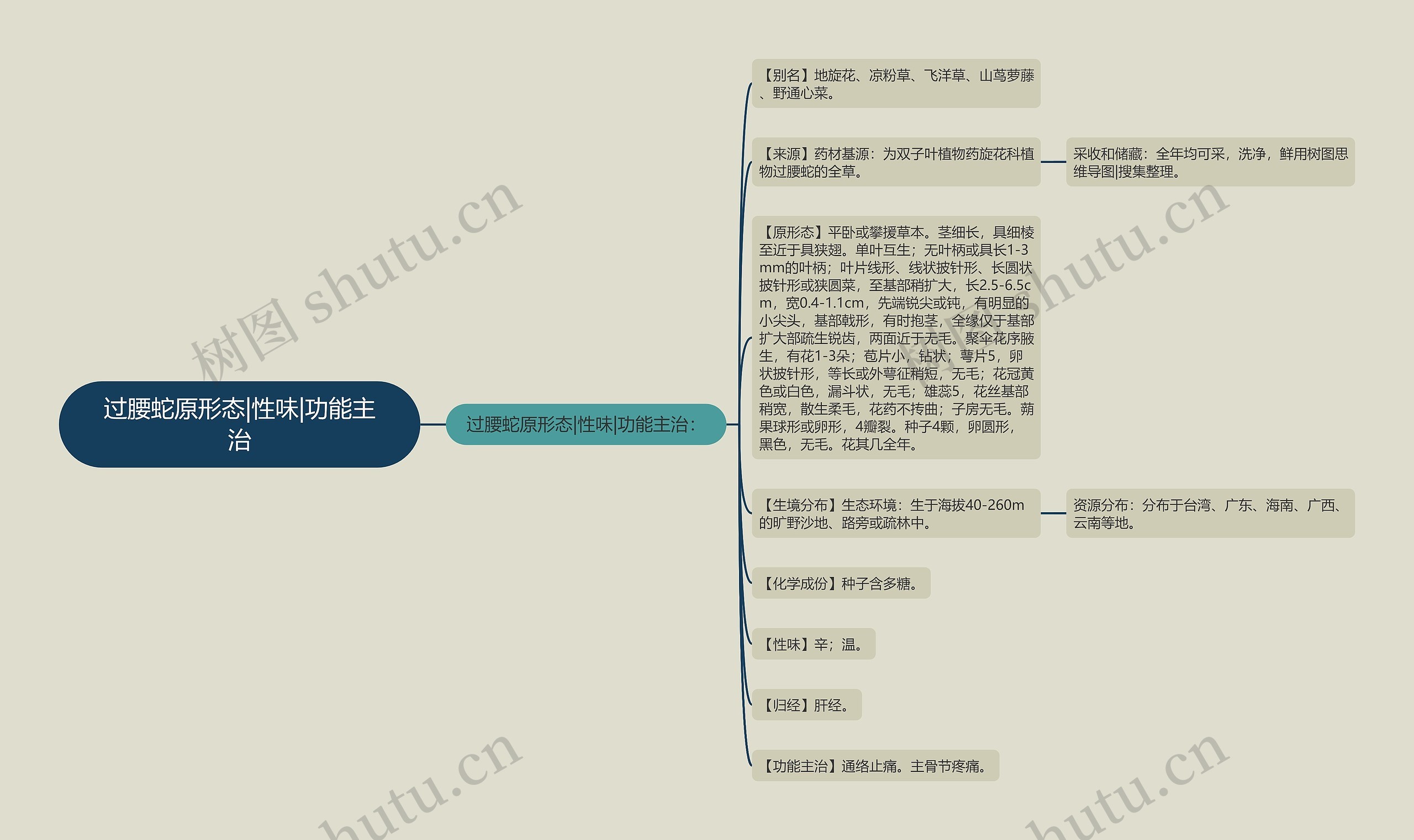 过腰蛇原形态|性味|功能主治 过腰蛇原形态|性味|功能主治
