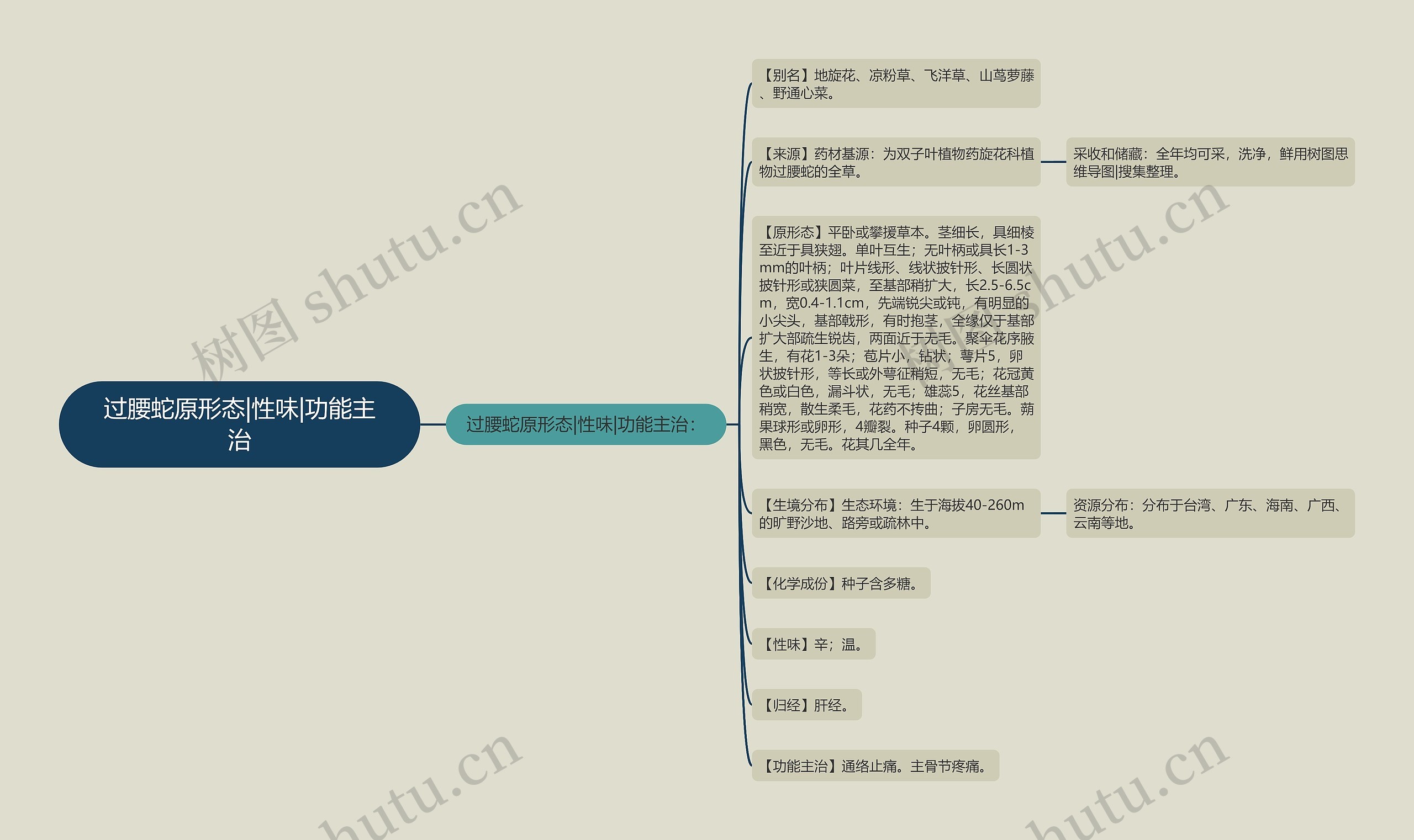过腰蛇原形态|性味|功能主治思维导图