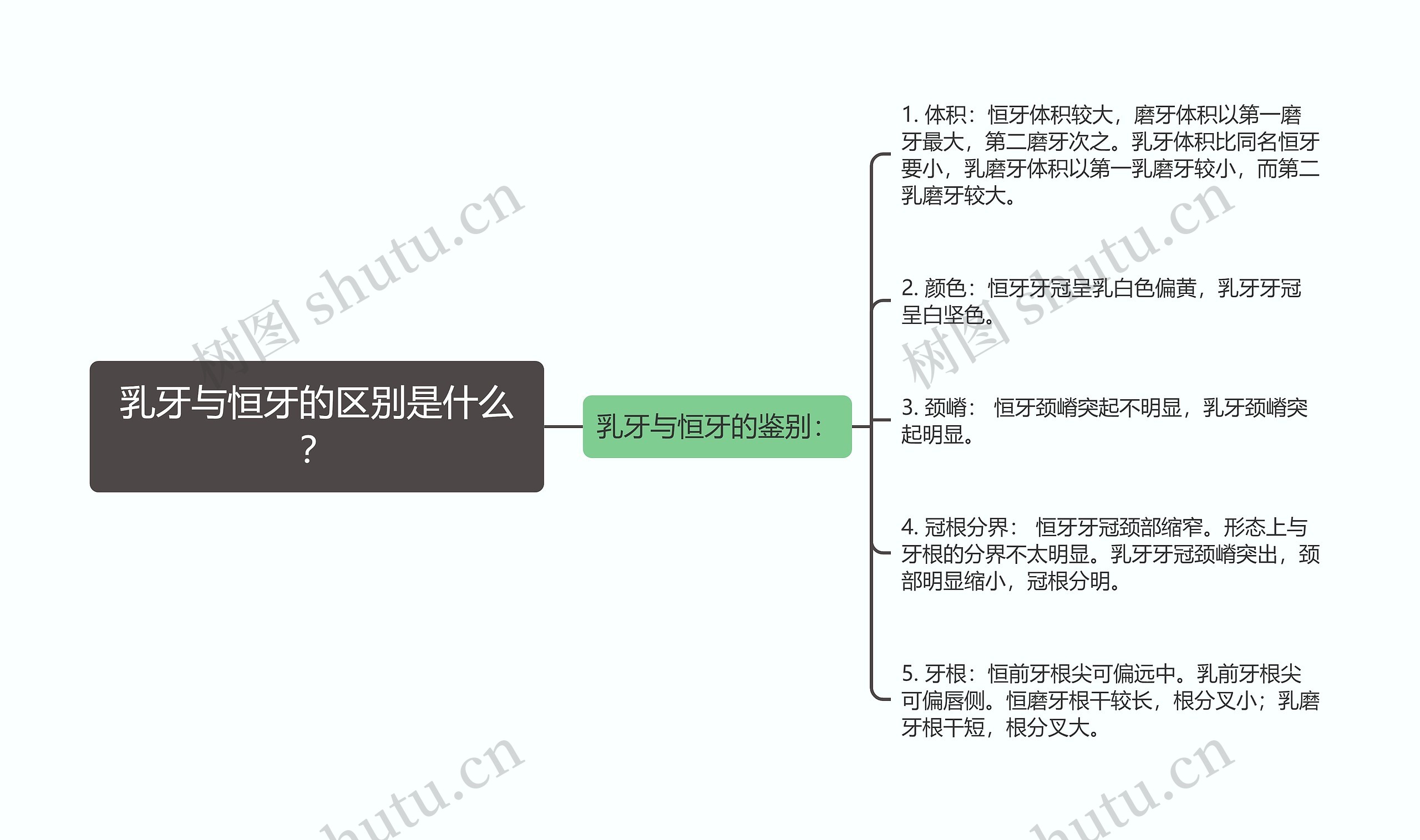 乳牙与恒牙的区别是什么？思维导图