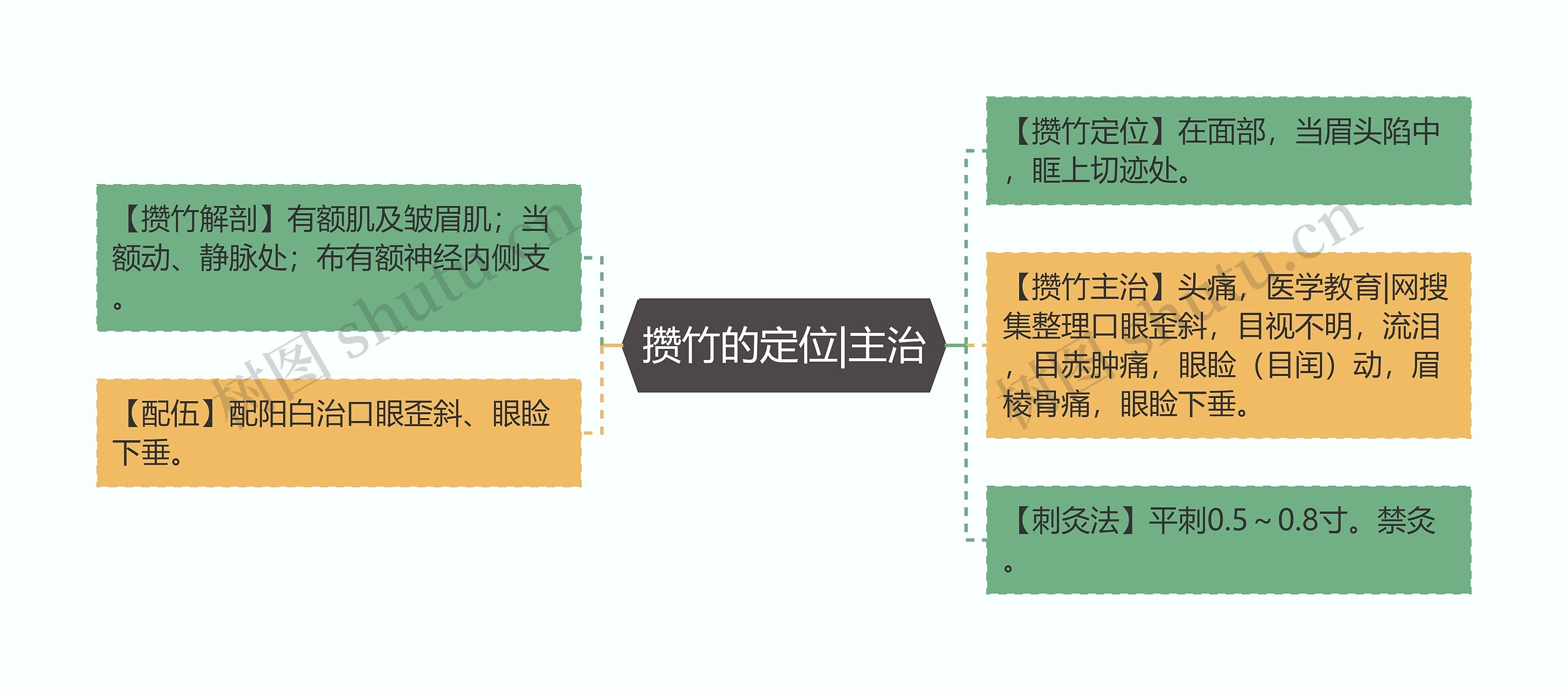 攒竹的定位|主治思维导图