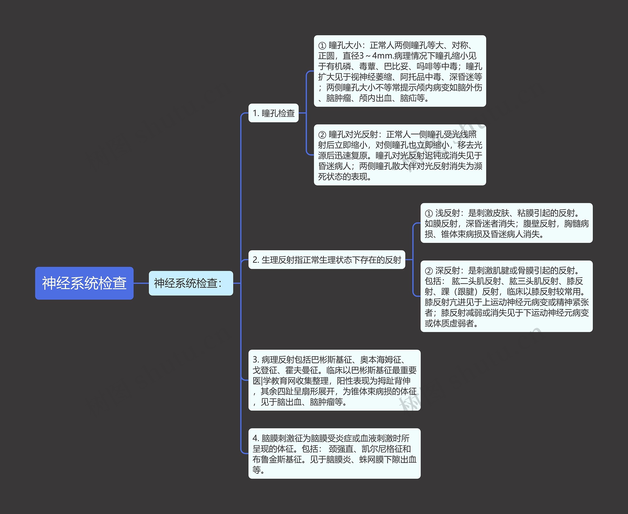 神经系统检查思维导图