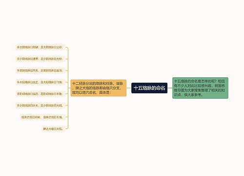 十五络脉的命名