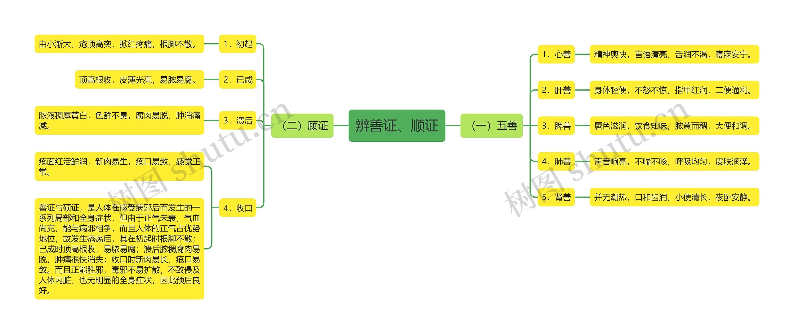 辨善证、顺证思维导图