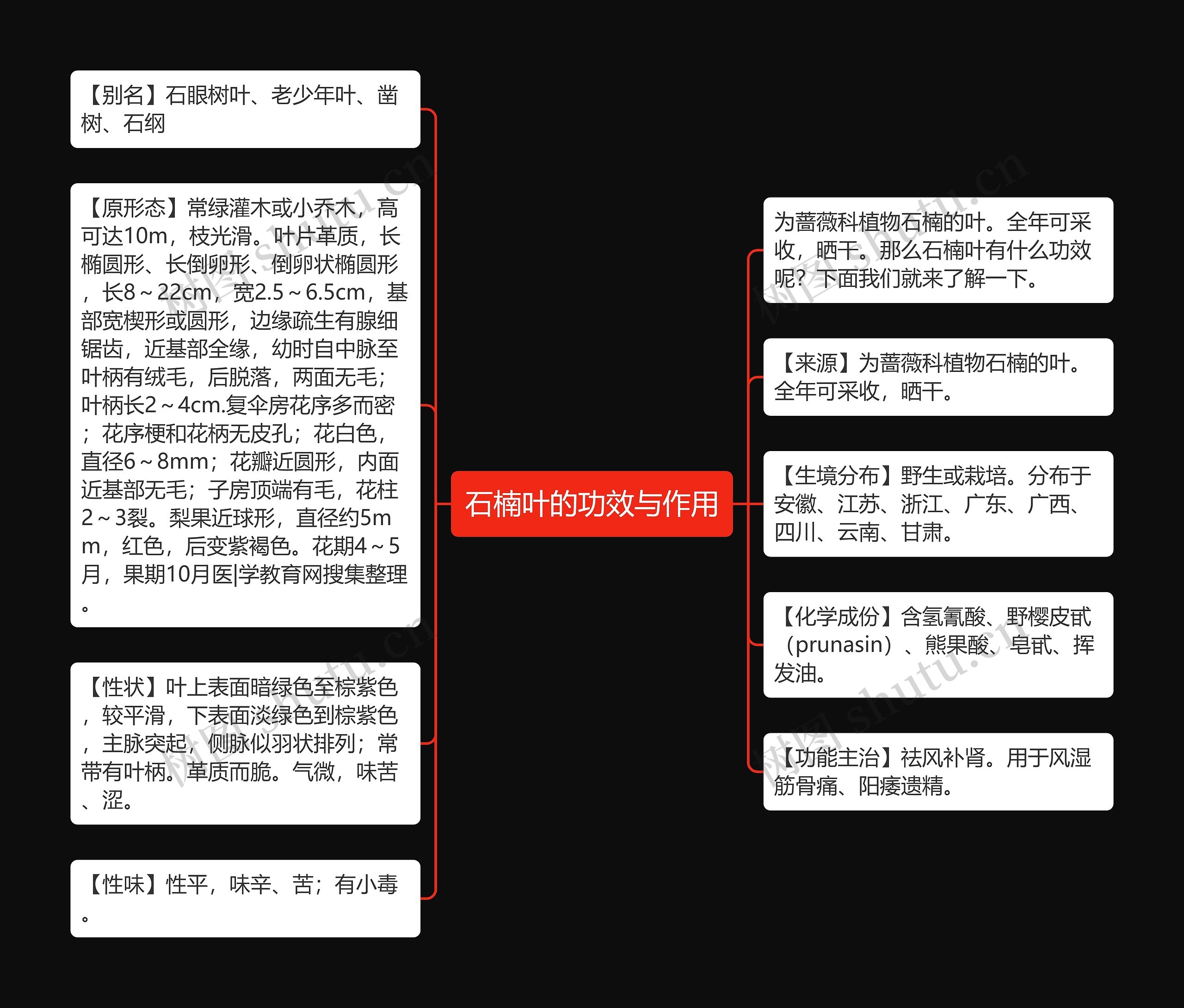 石楠叶的功效与作用 石楠叶的功效与作用