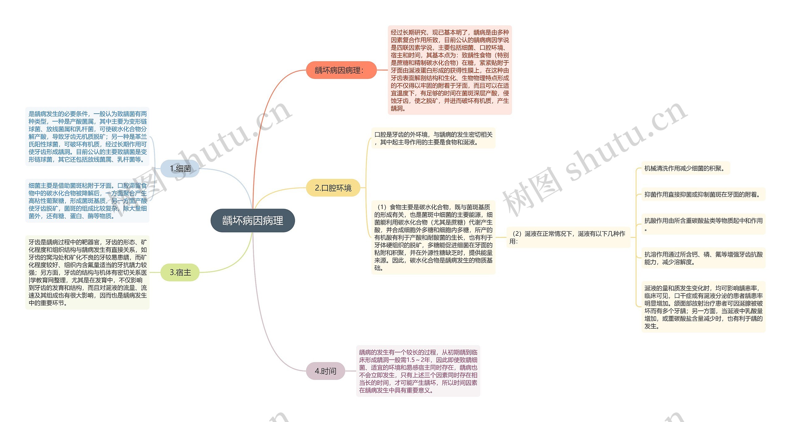 龋坏病因病理 龋坏病因病理