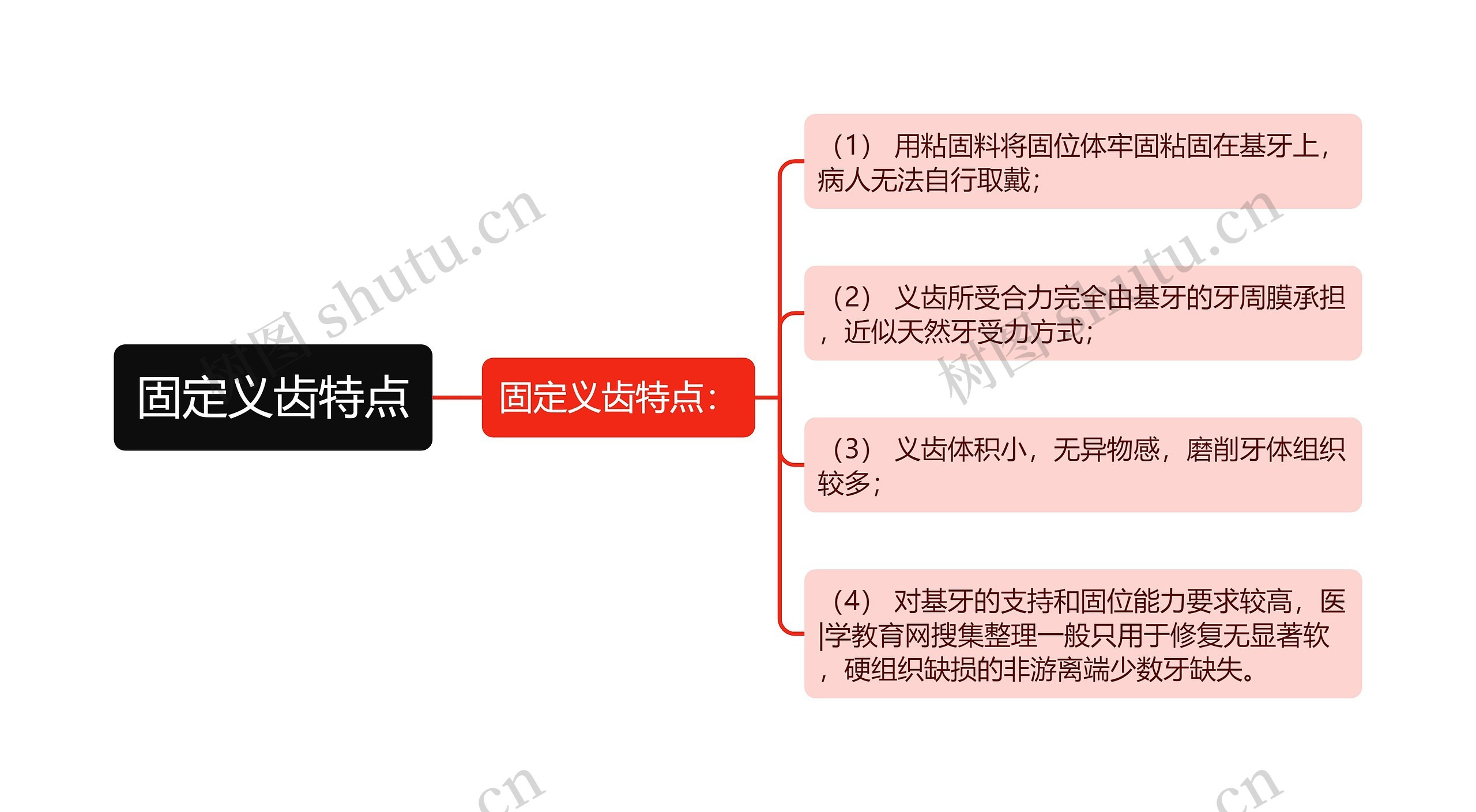 固定义齿特点