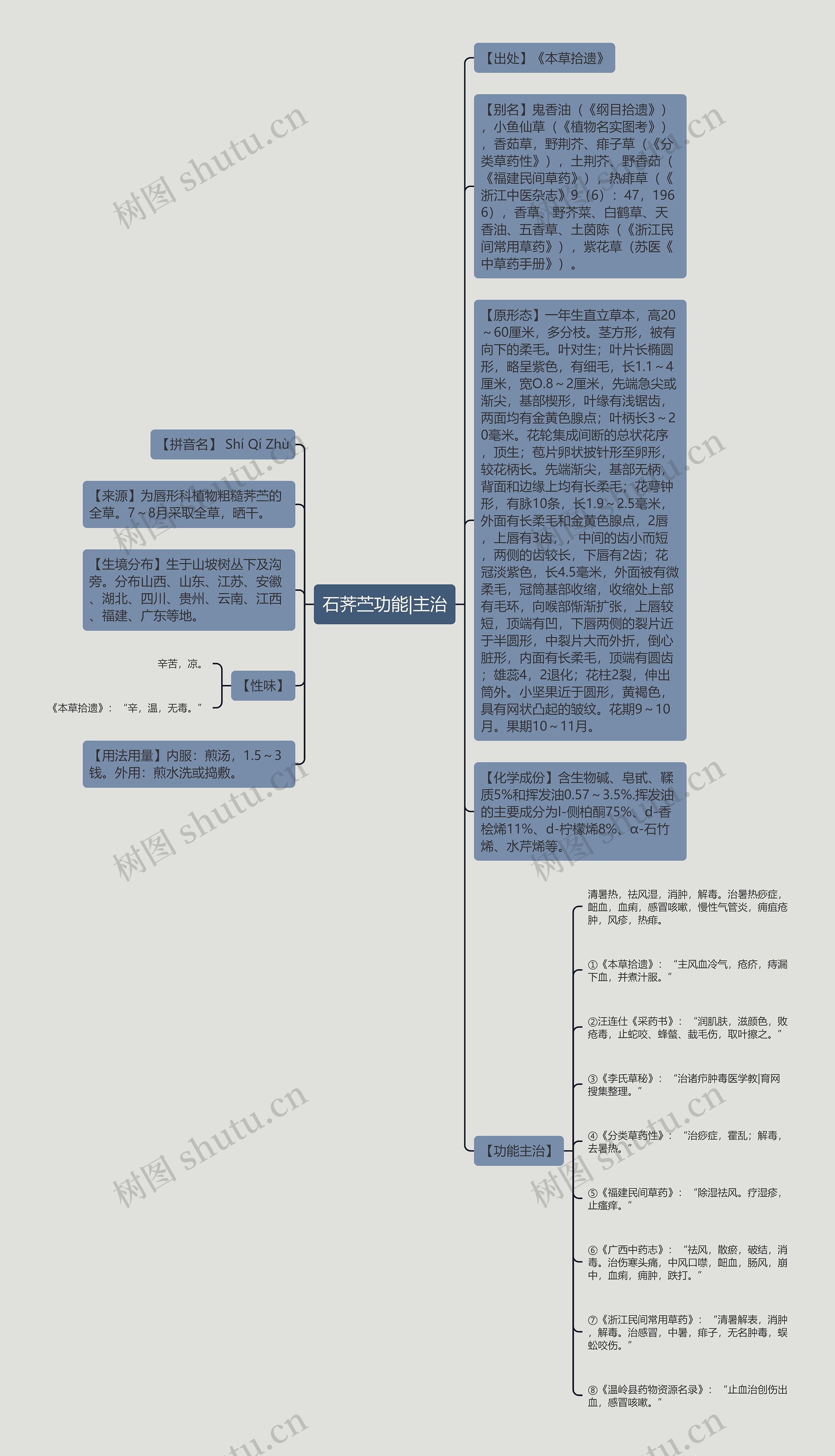 石荠苎功能|主治思维导图
