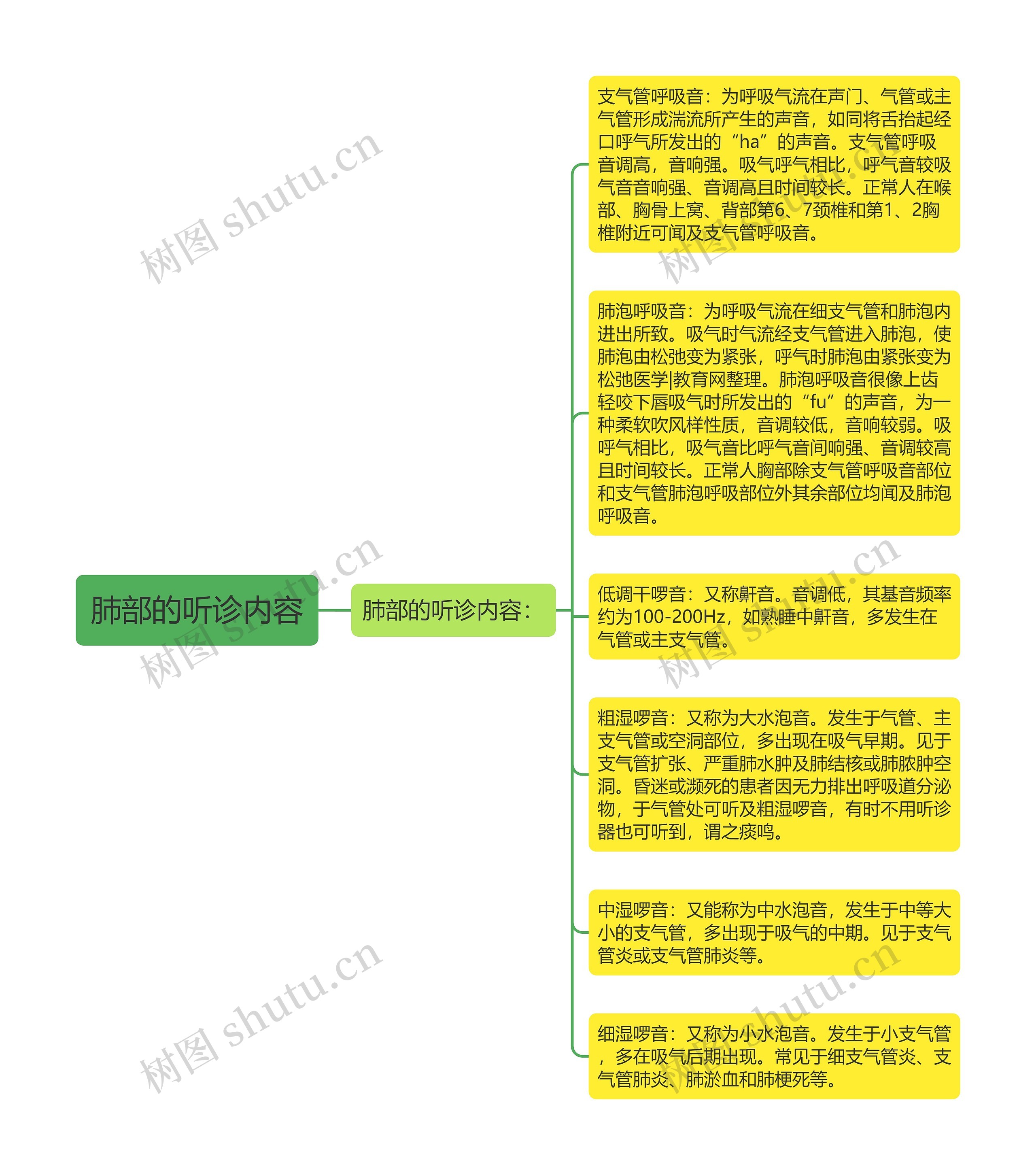 肺部的听诊内容