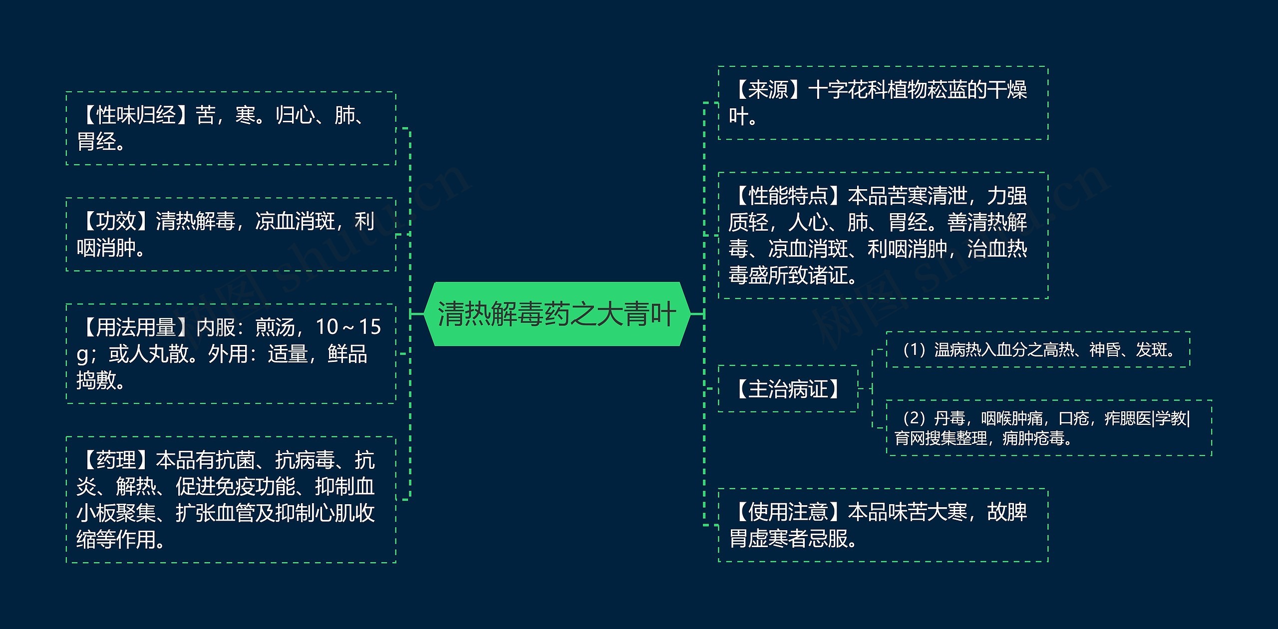 清热解毒药之大青叶思维导图