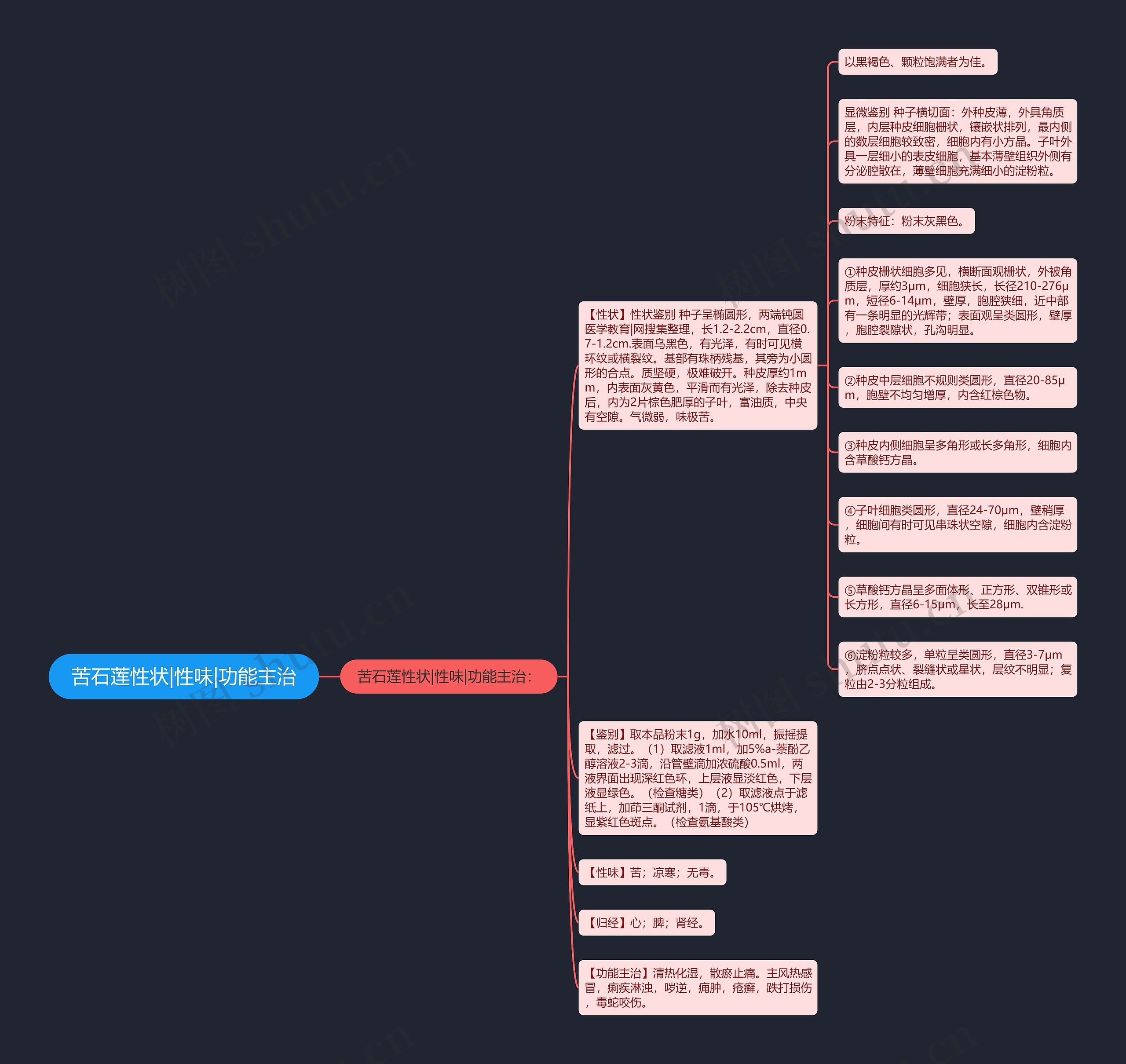 苦石莲性状|性味|功能主治思维导图