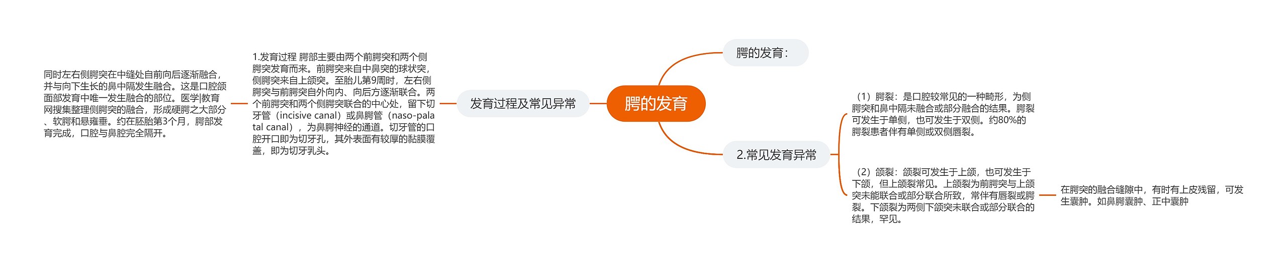 腭的发育思维导图