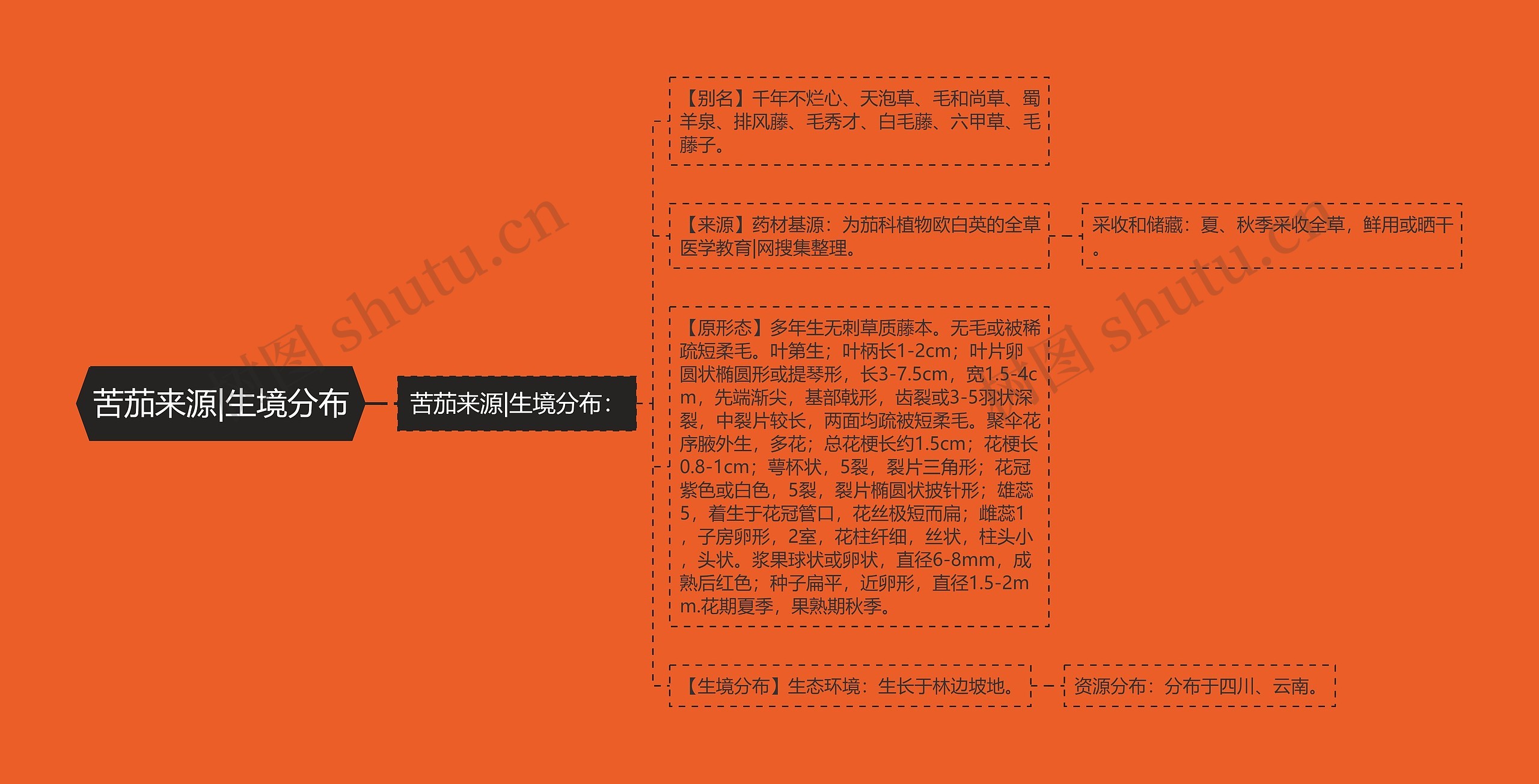 苦茄来源|生境分布 苦茄来源|生境分布