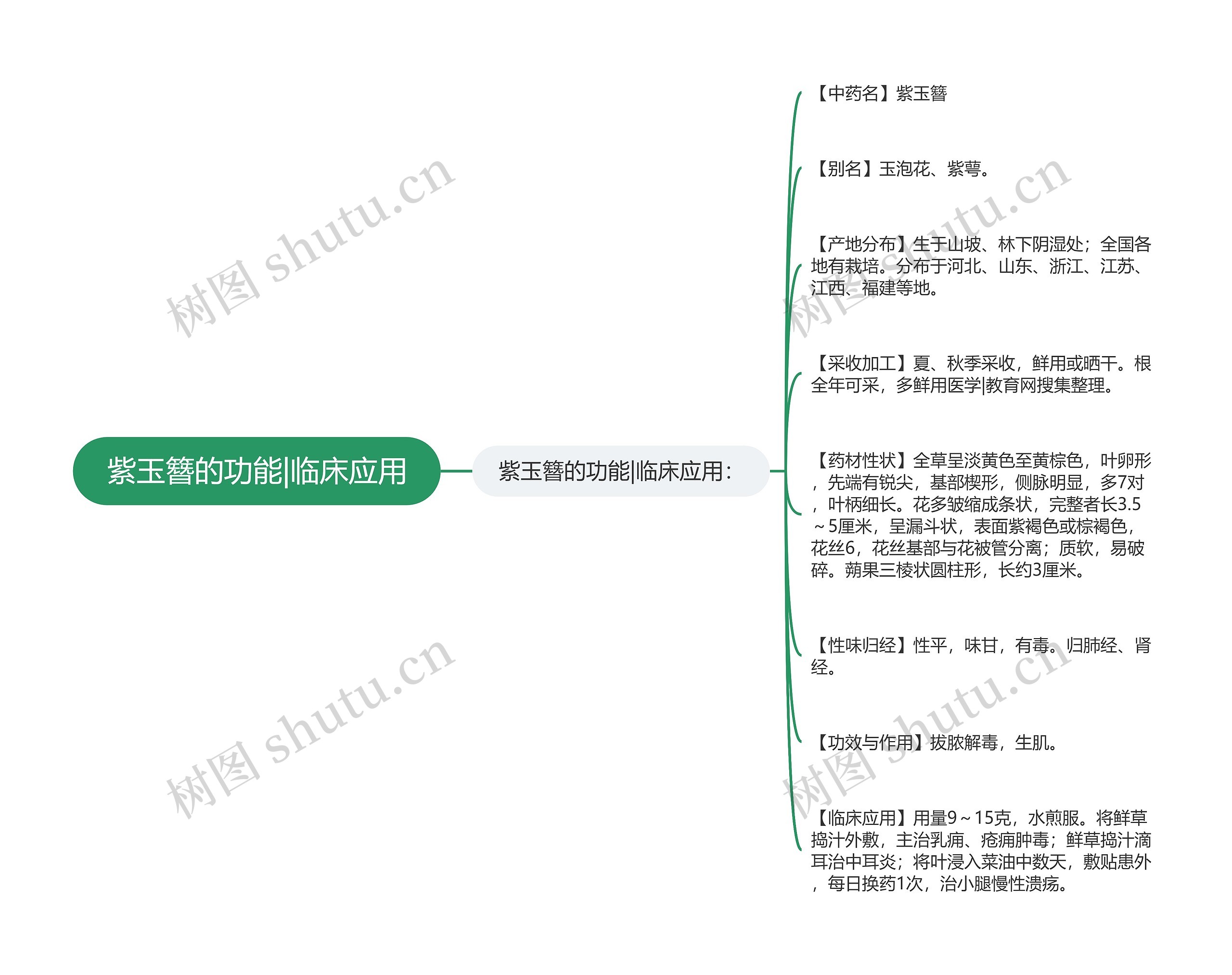 紫玉簪的功能|临床应用思维导图