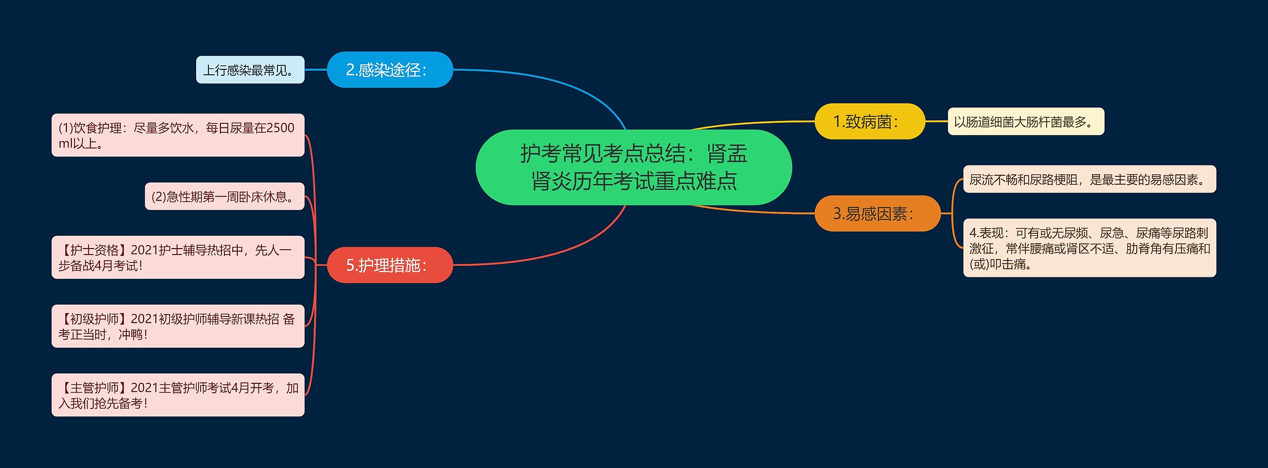 护考常见考点总结：肾盂肾炎历年考试重点难点