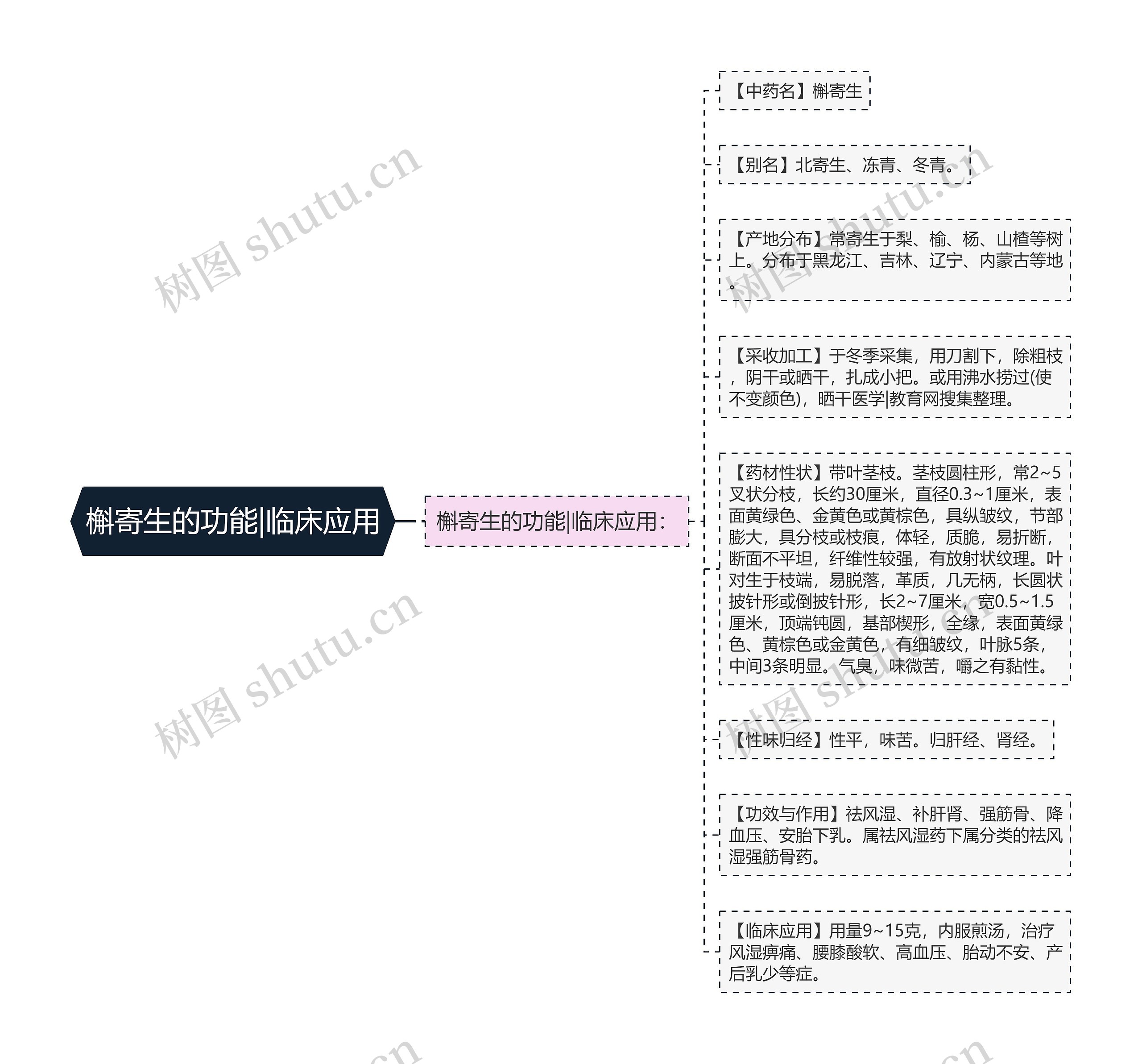 槲寄生的功能|临床应用