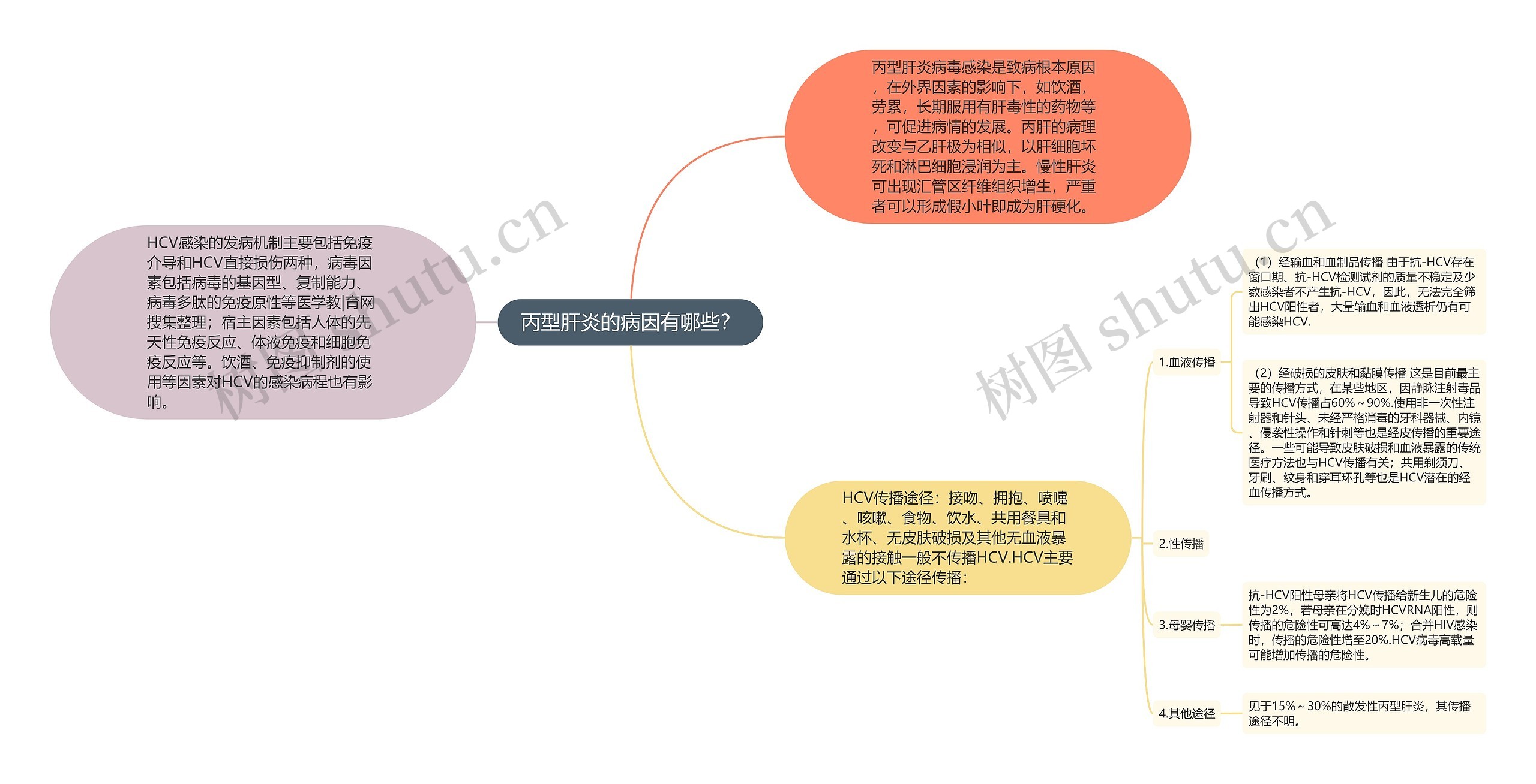 丙型肝炎的病因有哪些？思维导图