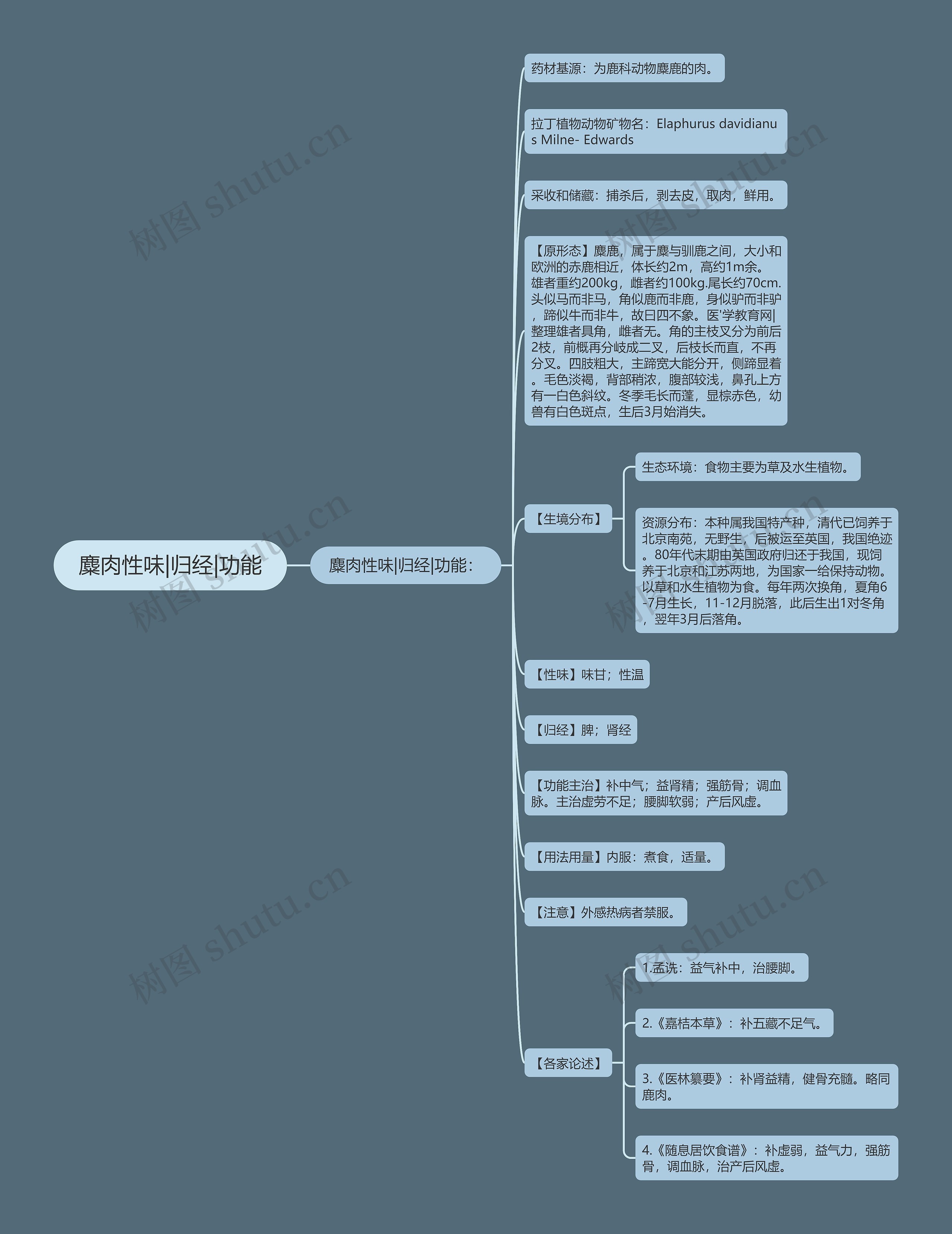 麋肉性味|归经|功能 麋肉性味|归经|功能