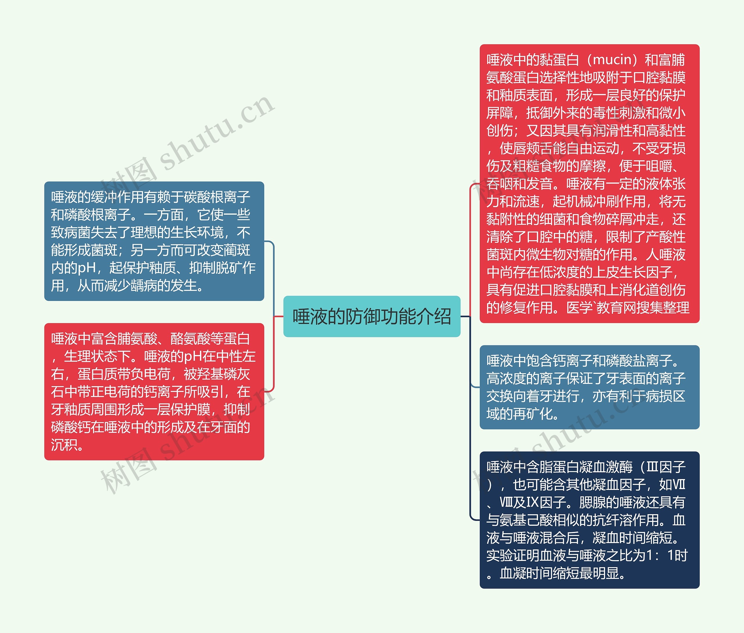 唾液的防御功能介绍