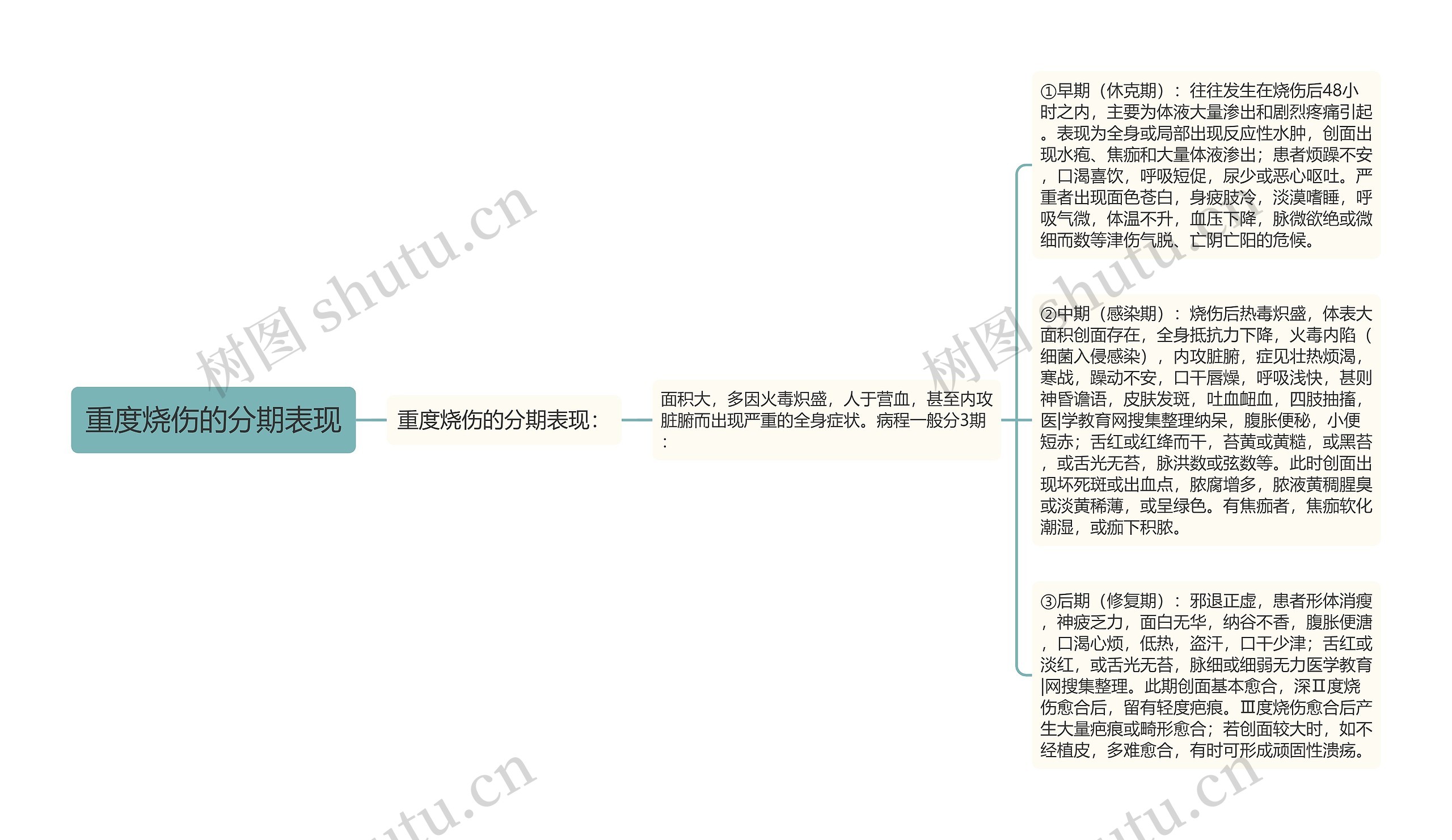 重度烧伤的分期表现思维导图