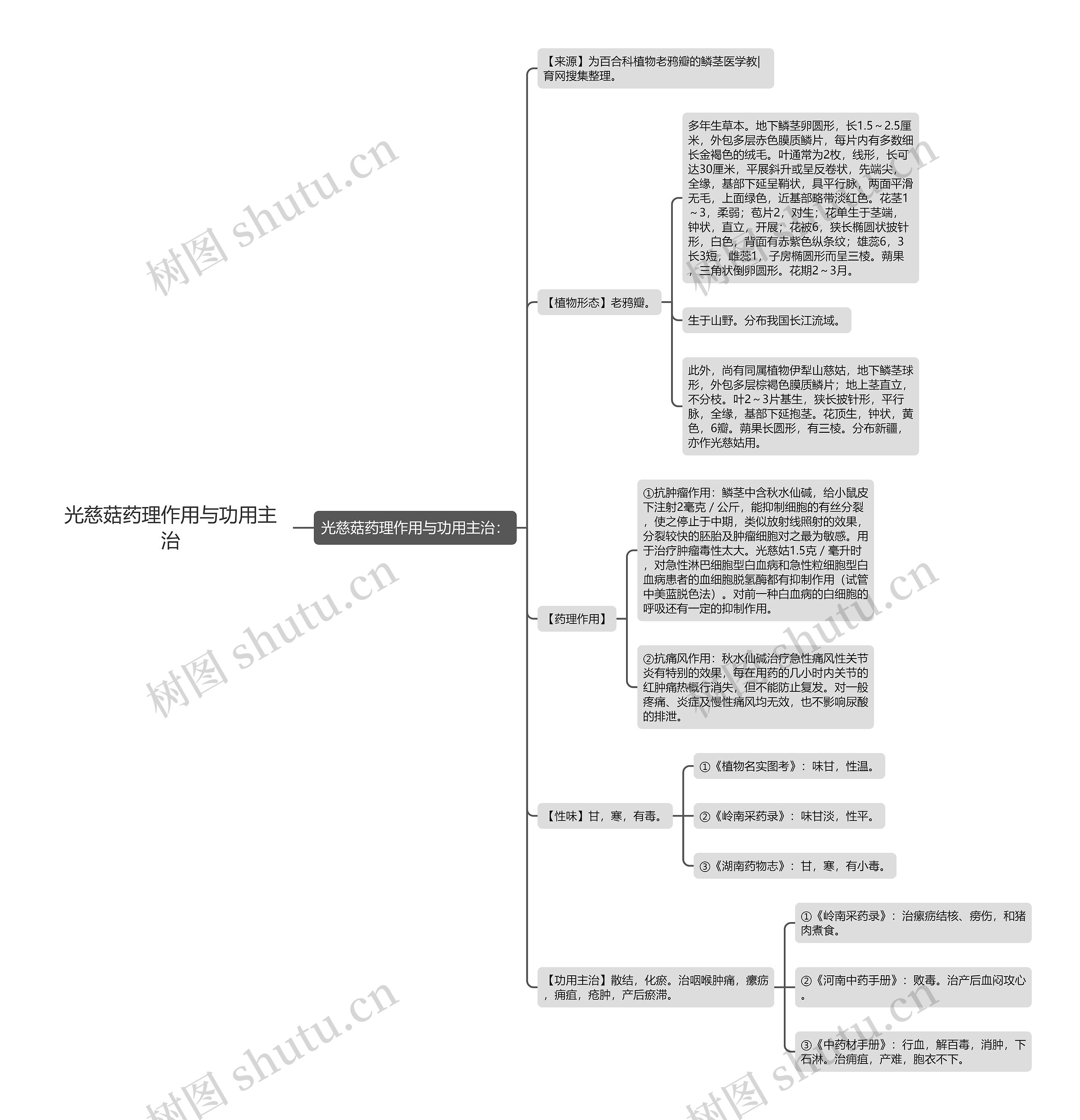 光慈菇药理作用与功用主治