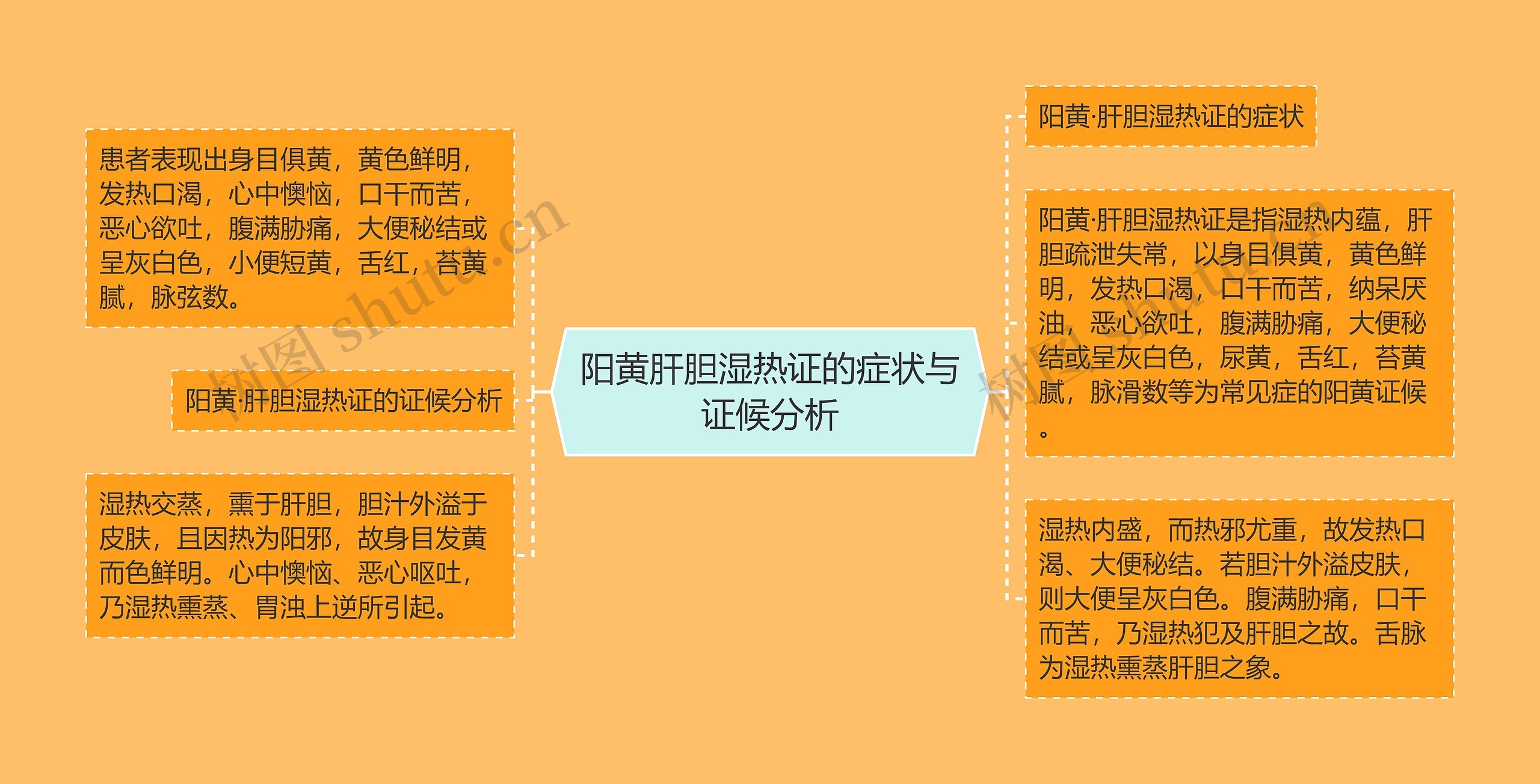 阳黄肝胆湿热证的症状与证候分析思维导图