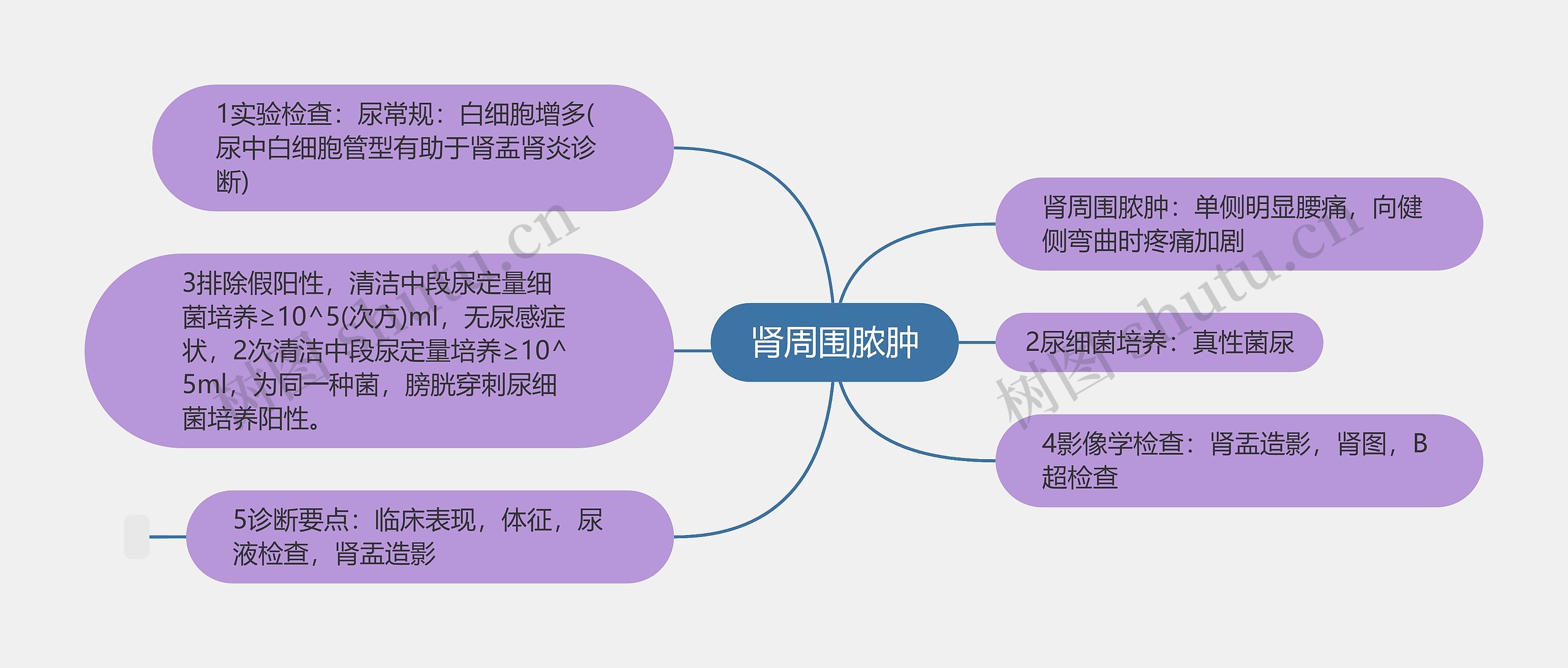 肾周围脓肿思维导图