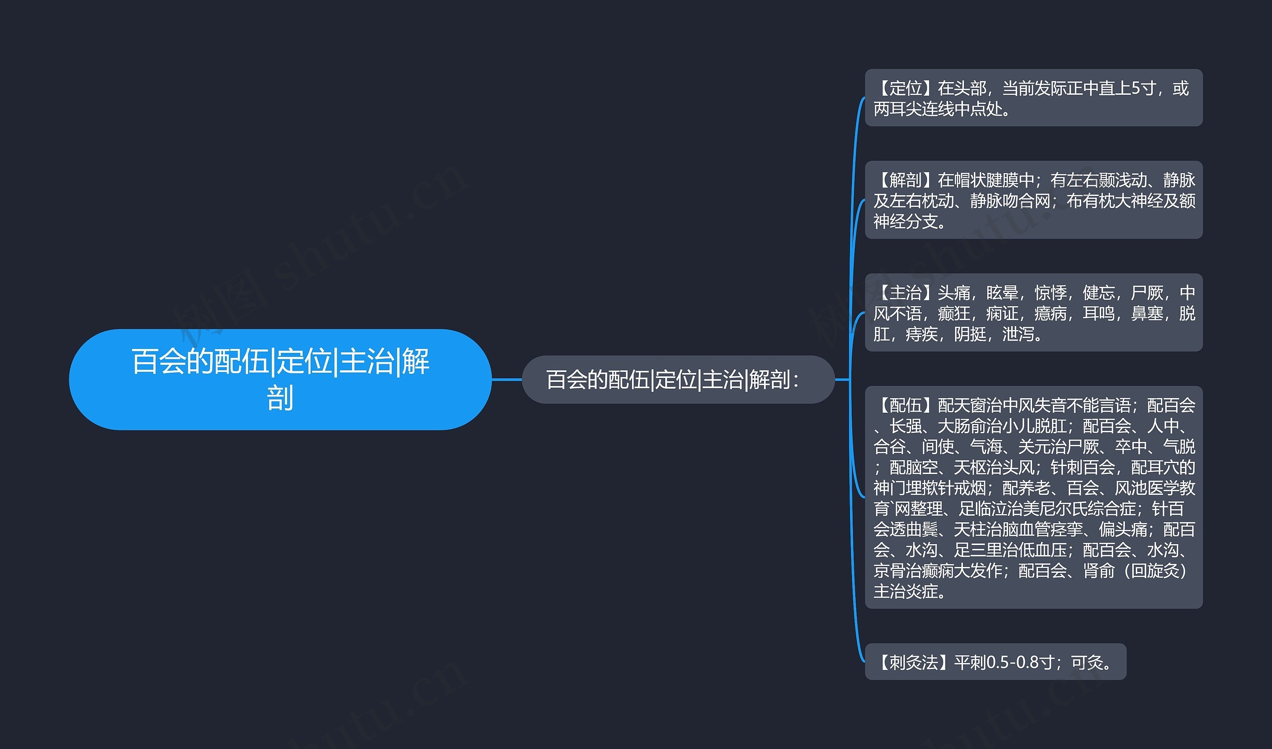 百会的配伍|定位|主治|解剖