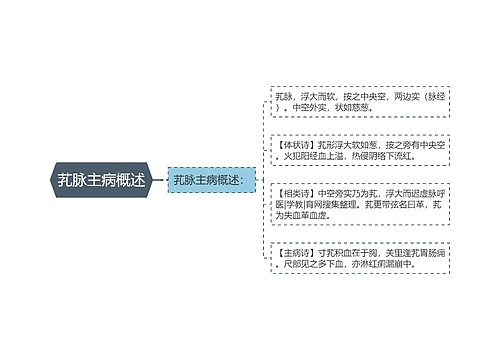 芤脉主病概述