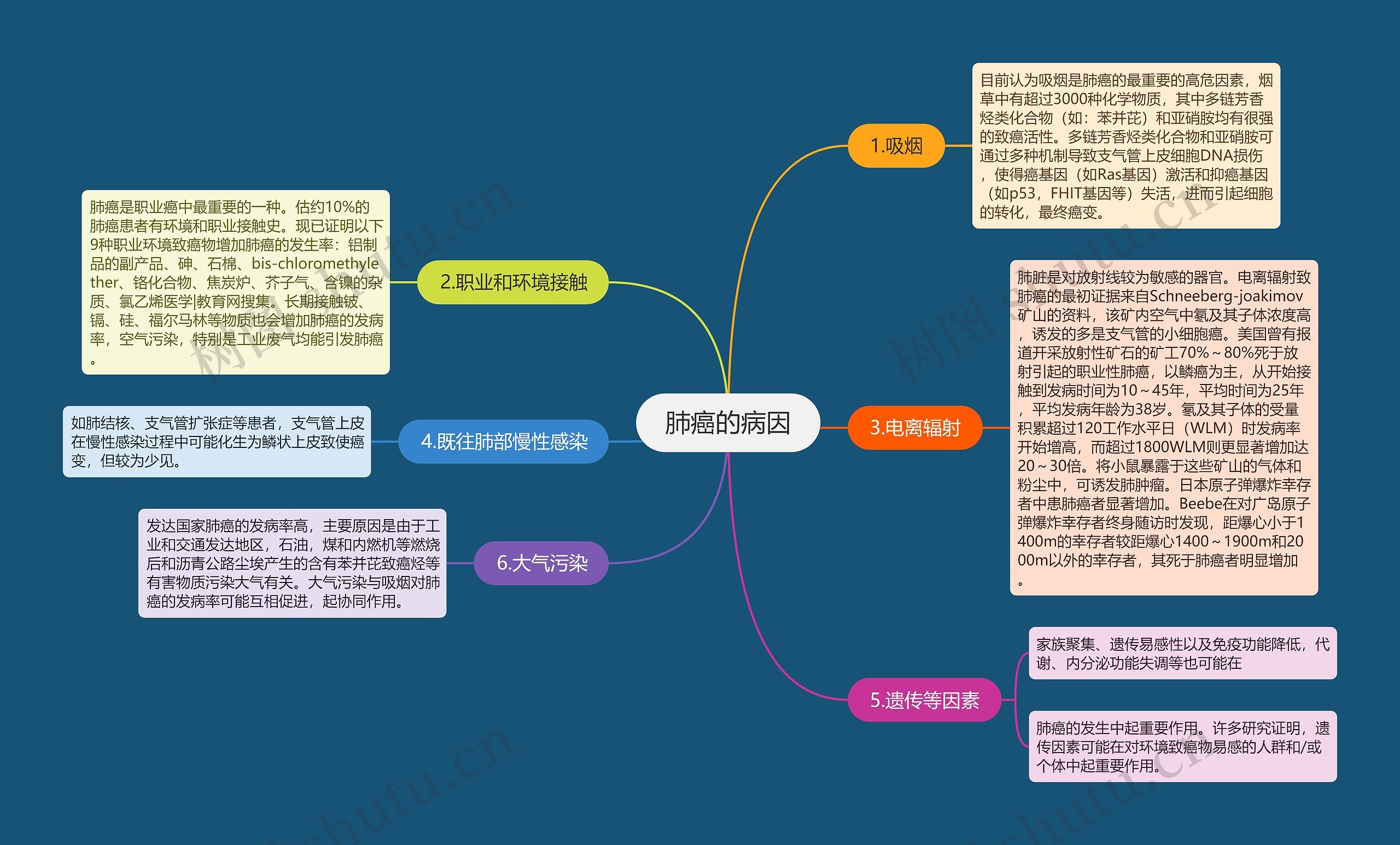 肺癌的病因思维导图