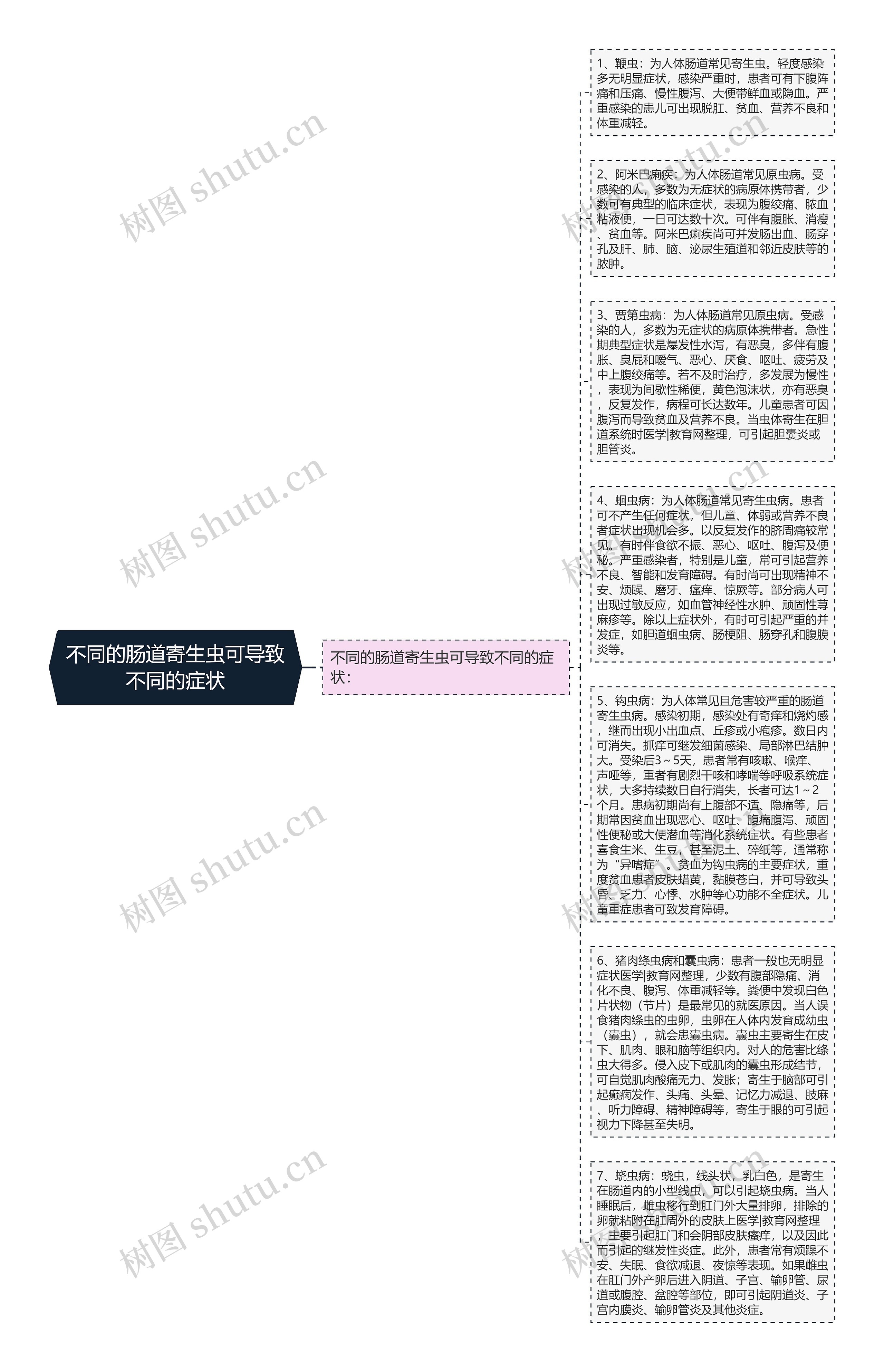 不同的肠道寄生虫可导致不同的症状思维导图