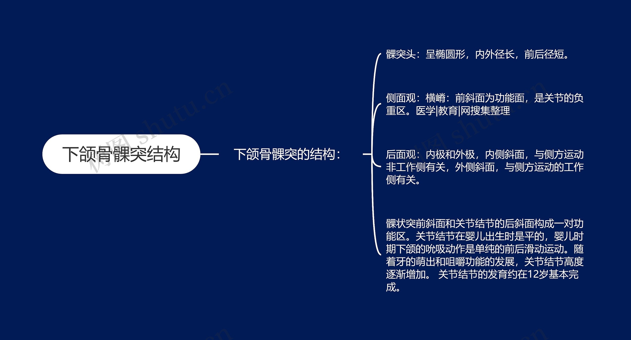 下颌骨髁突结构思维导图