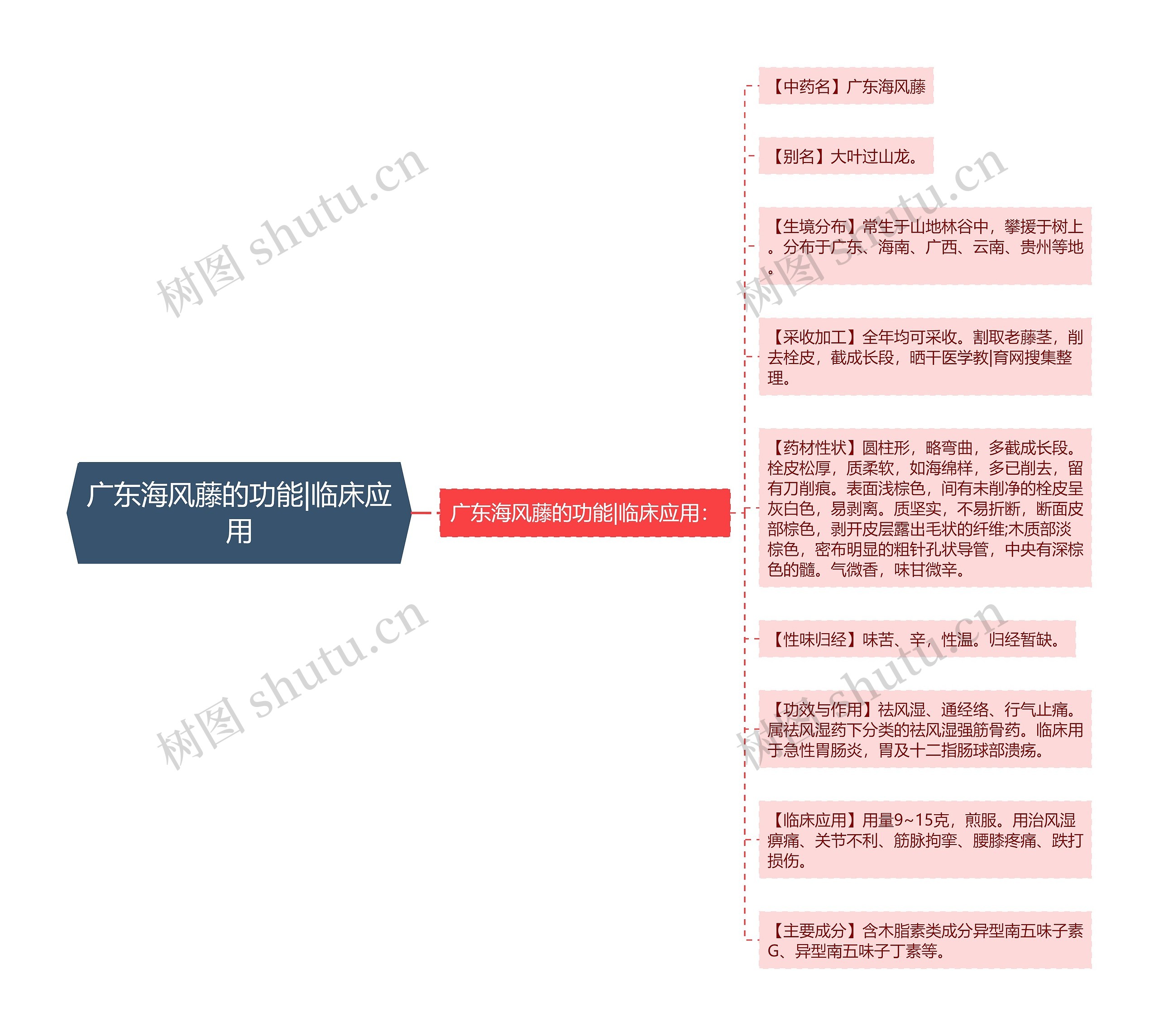 广东海风藤的功能|临床应用思维导图