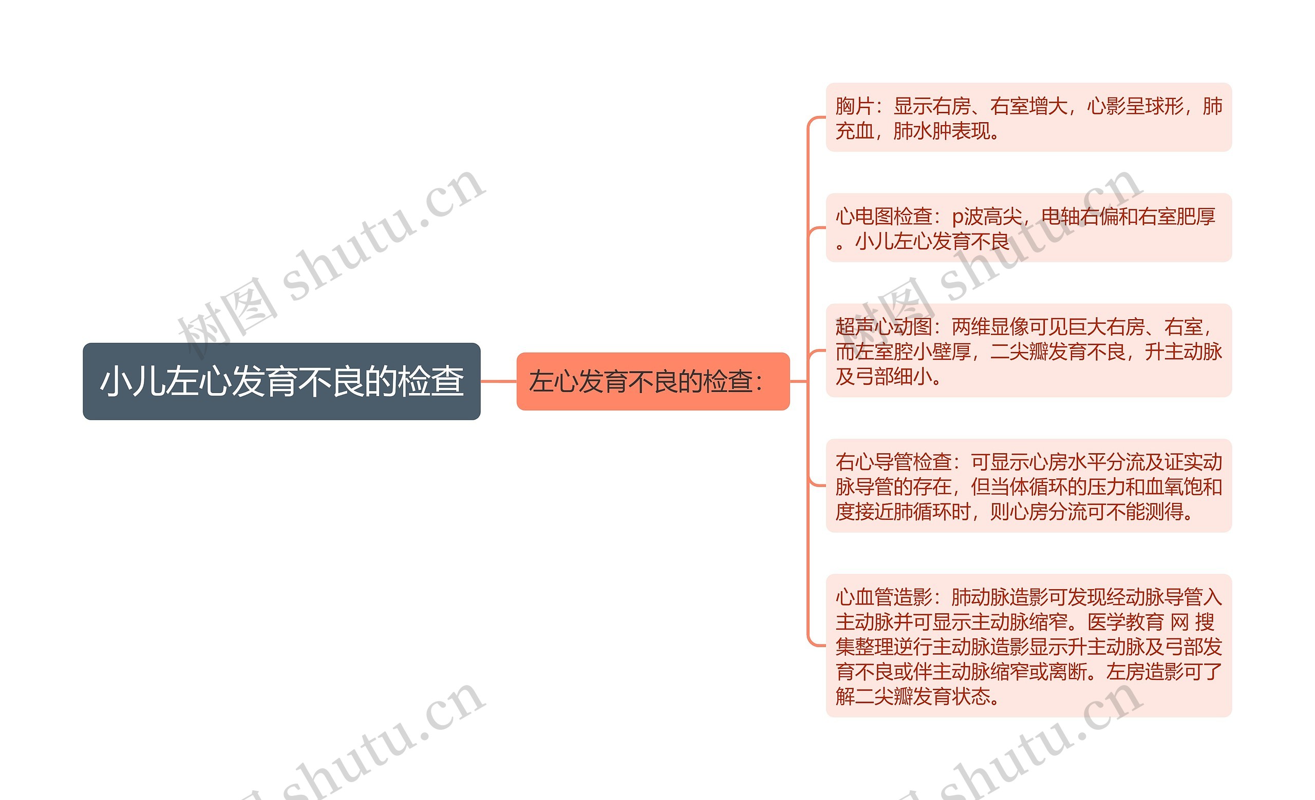 小儿左心发育不良的检查思维导图