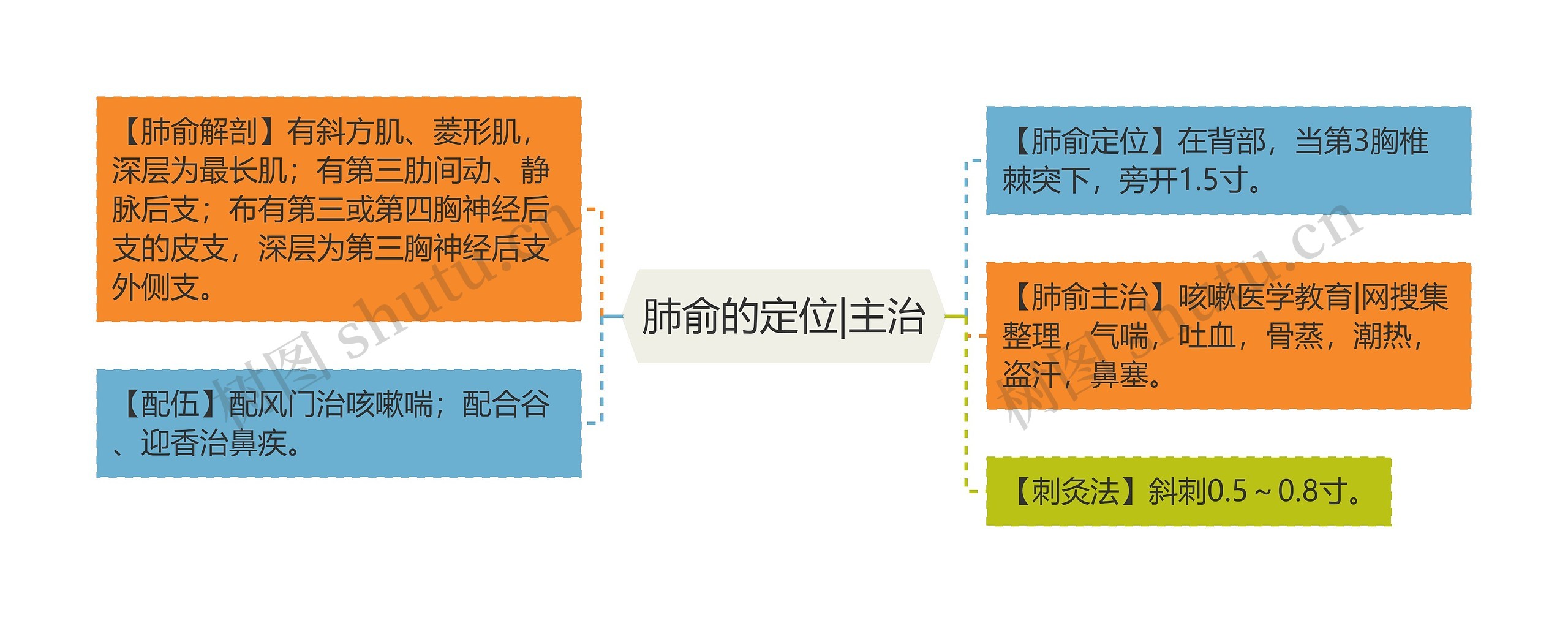 肺俞的定位|主治