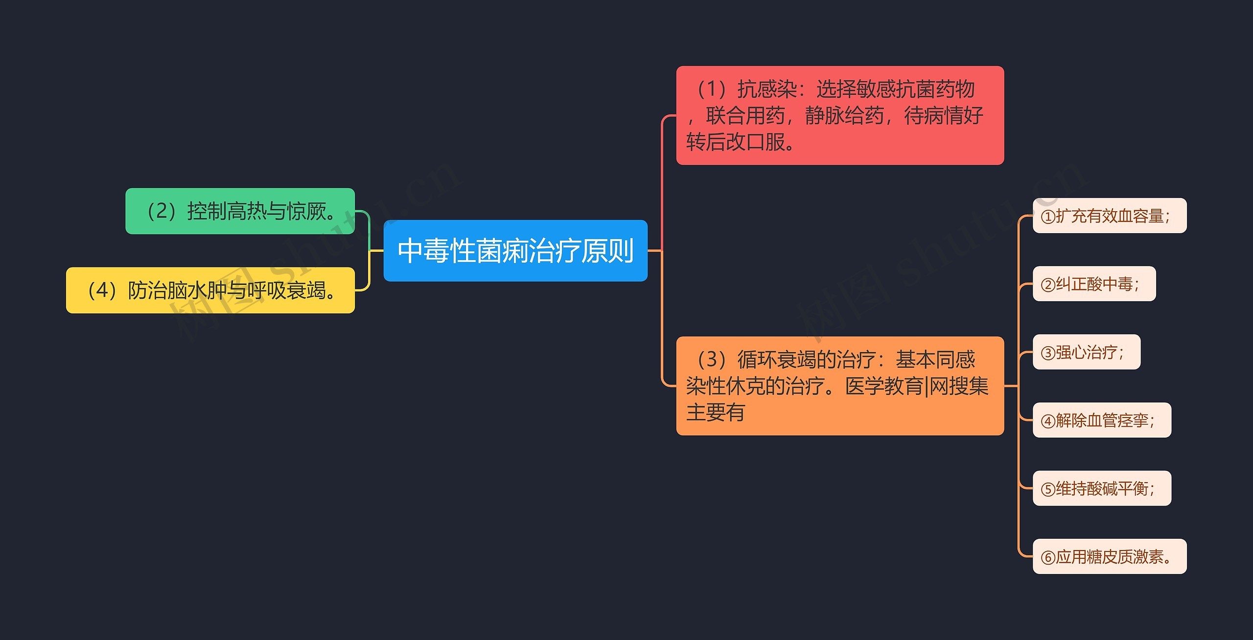 中毒性菌痢治疗原则思维导图