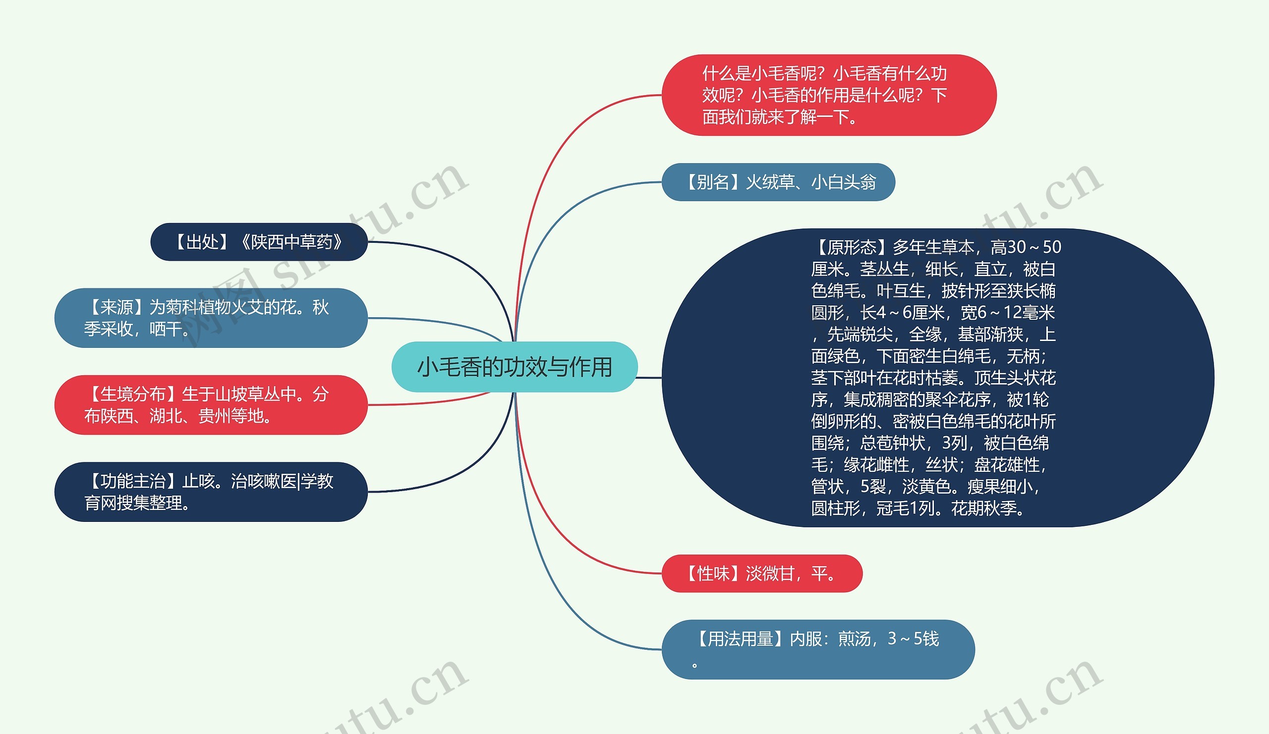 小毛香的功效与作用 小毛香的功效与作用