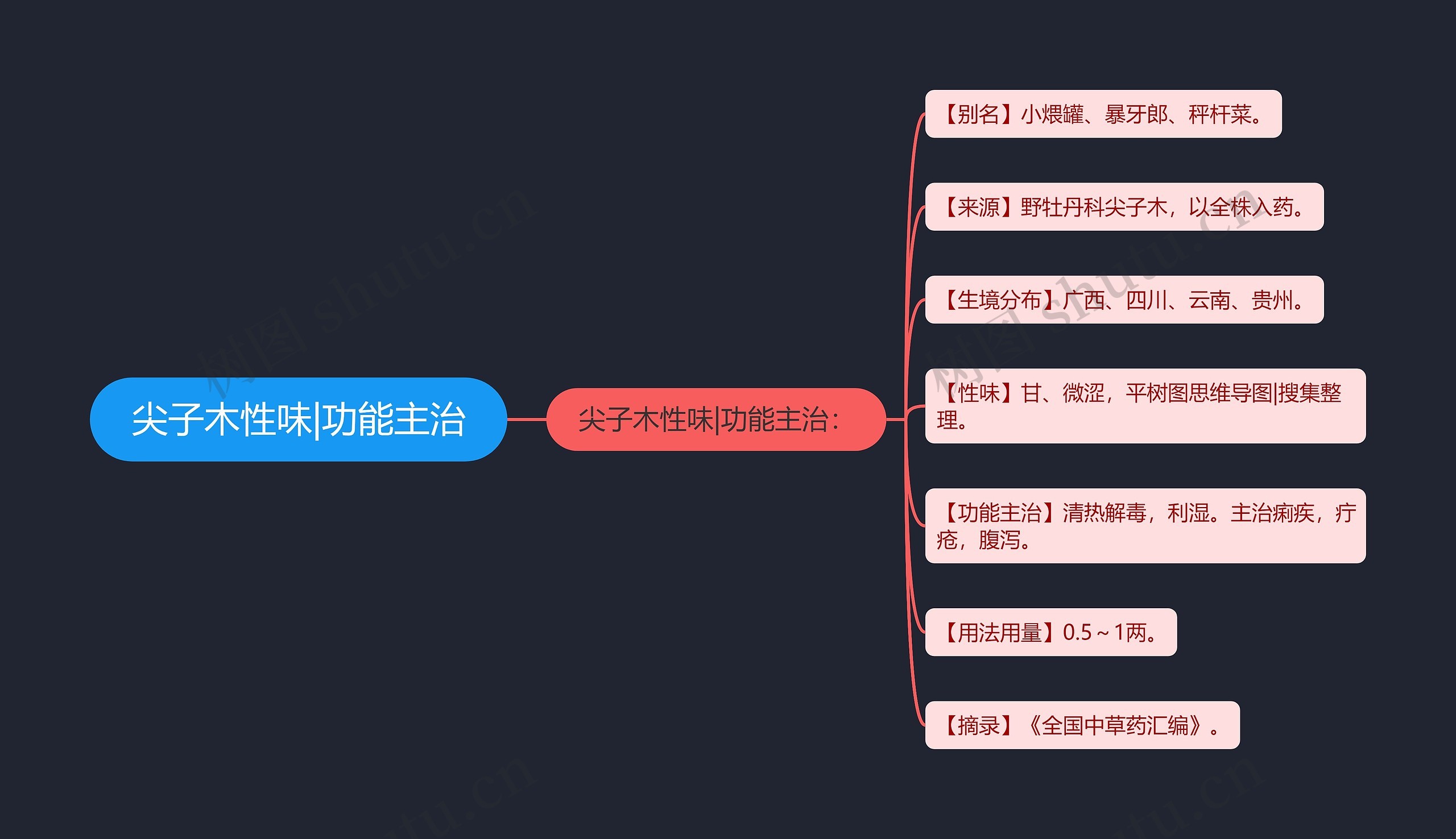 尖子木性味|功能主治思维导图