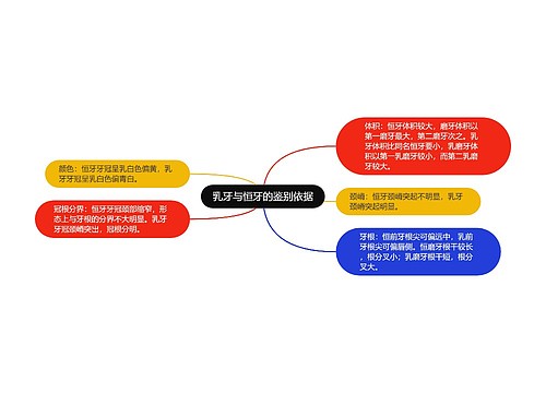 乳牙与恒牙的鉴别依据