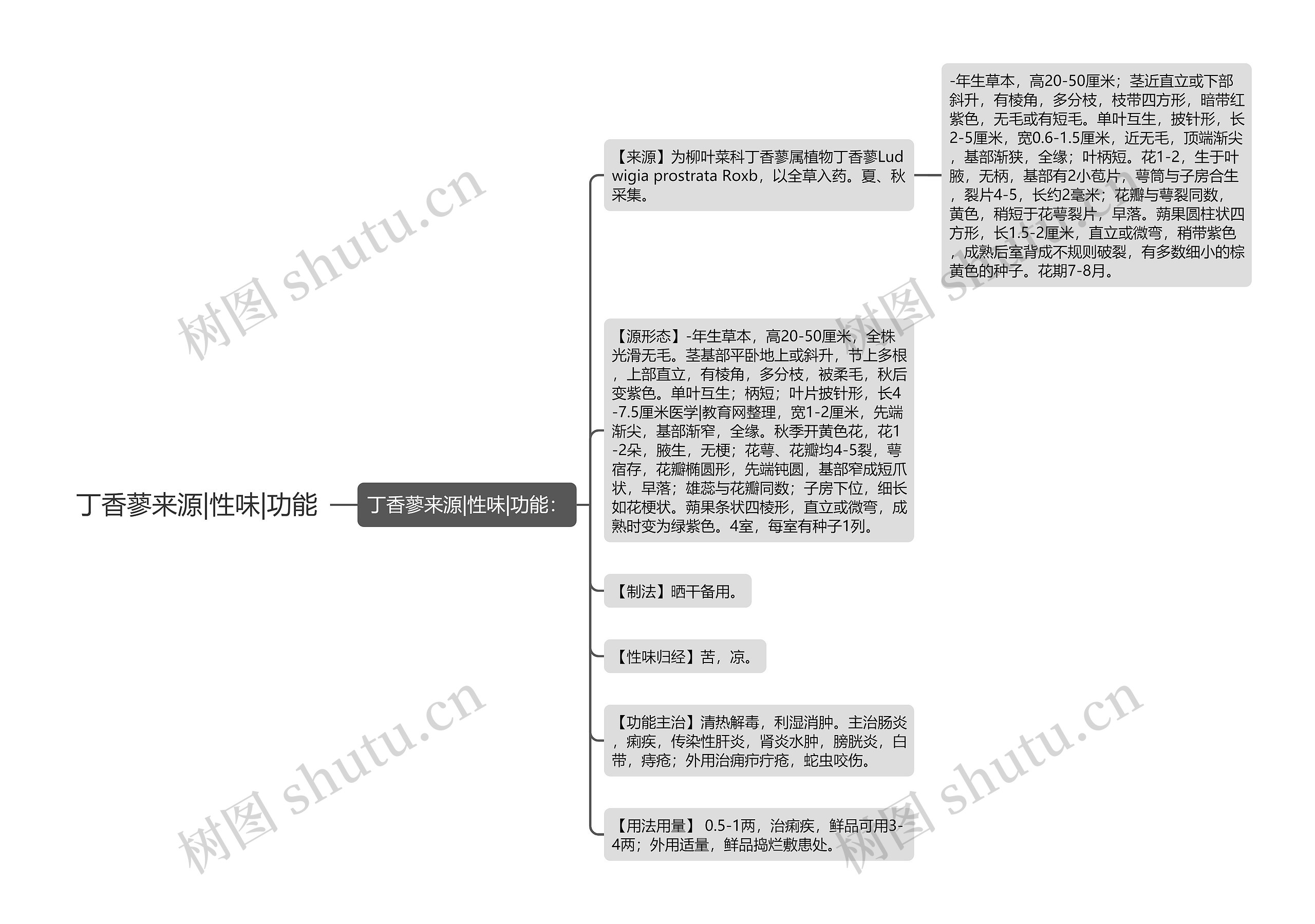 丁香蓼来源|性味|功能思维导图