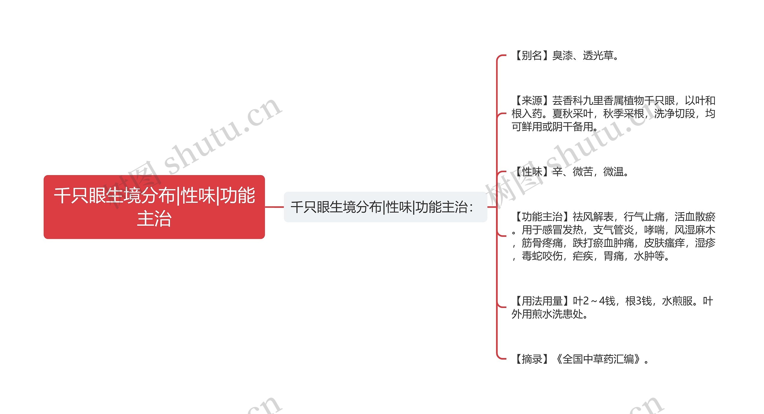 千只眼生境分布|性味|功能主治思维导图