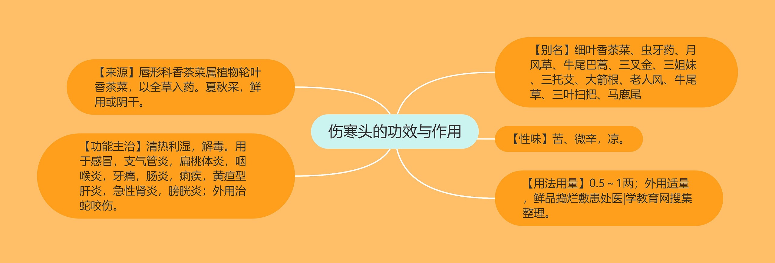 伤寒头的功效与作用 伤寒头的功效与作用