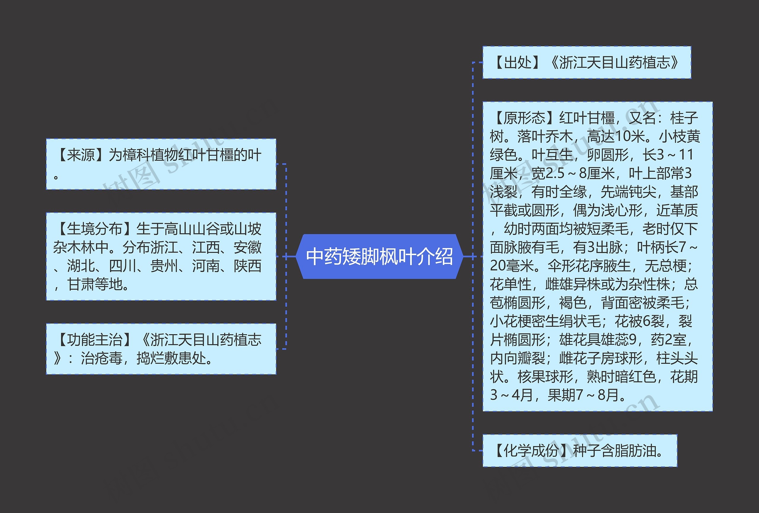 中药矮脚枫叶介绍思维导图